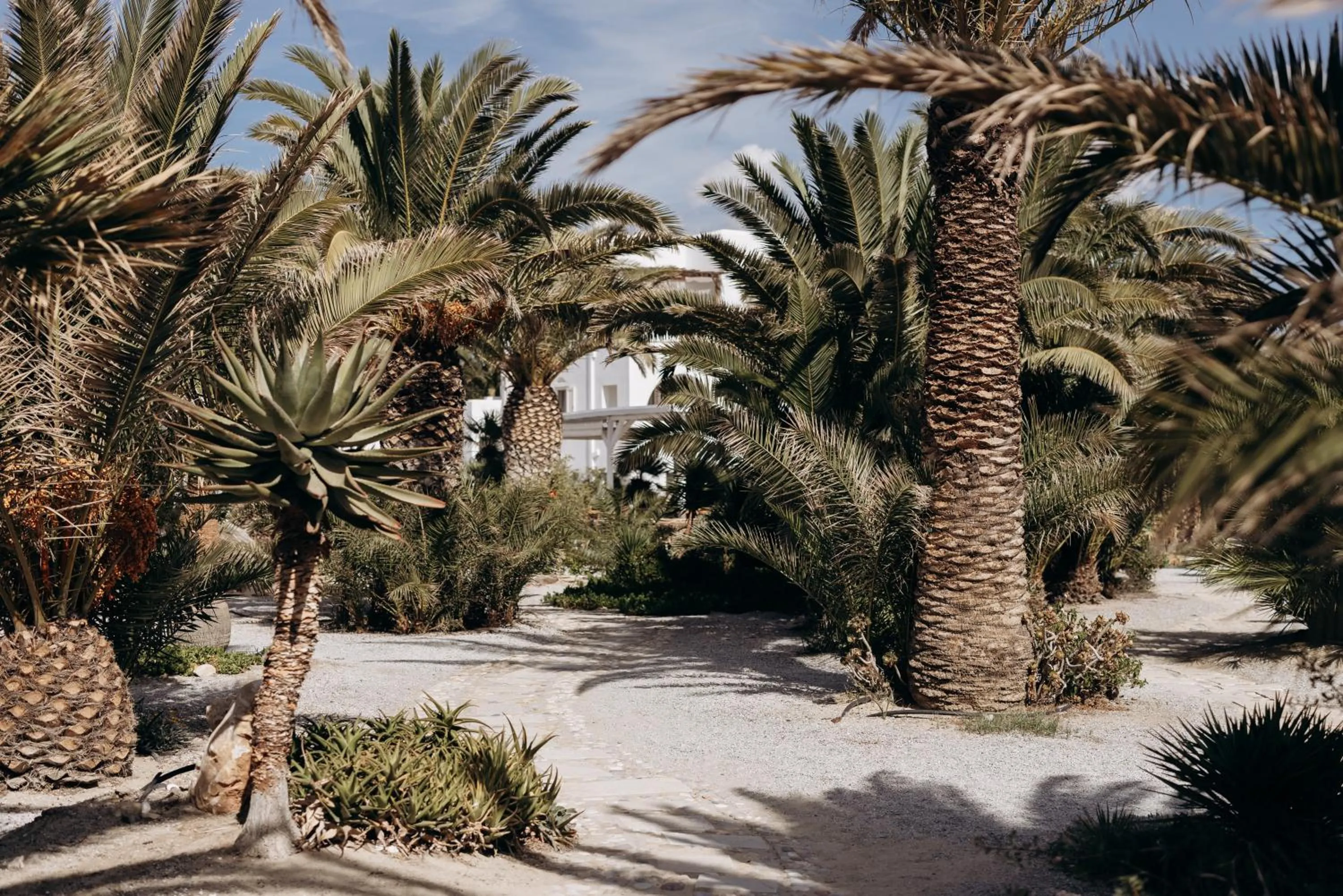 Property building in Medusa Beach Resort & Suites