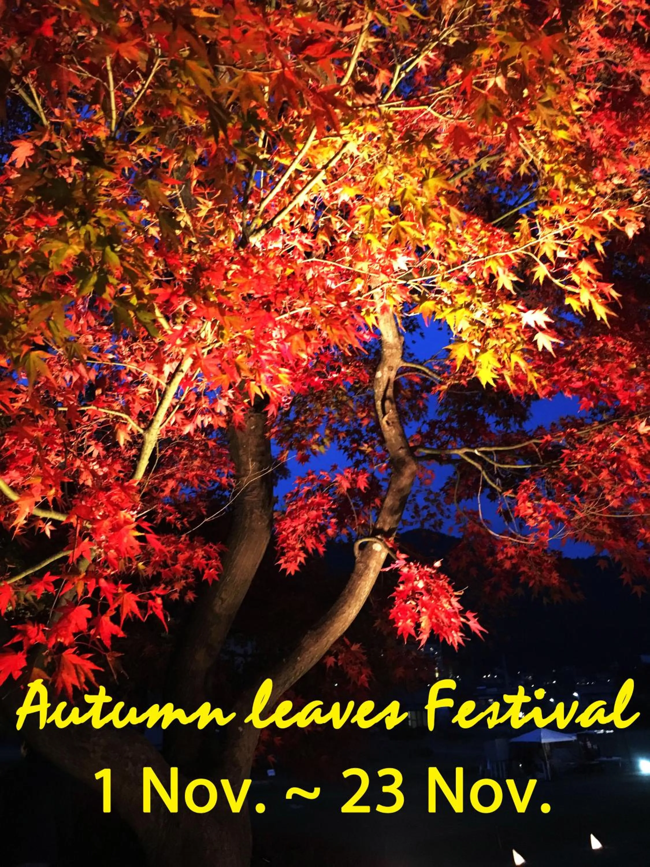 Autumn in Sawa Hotel