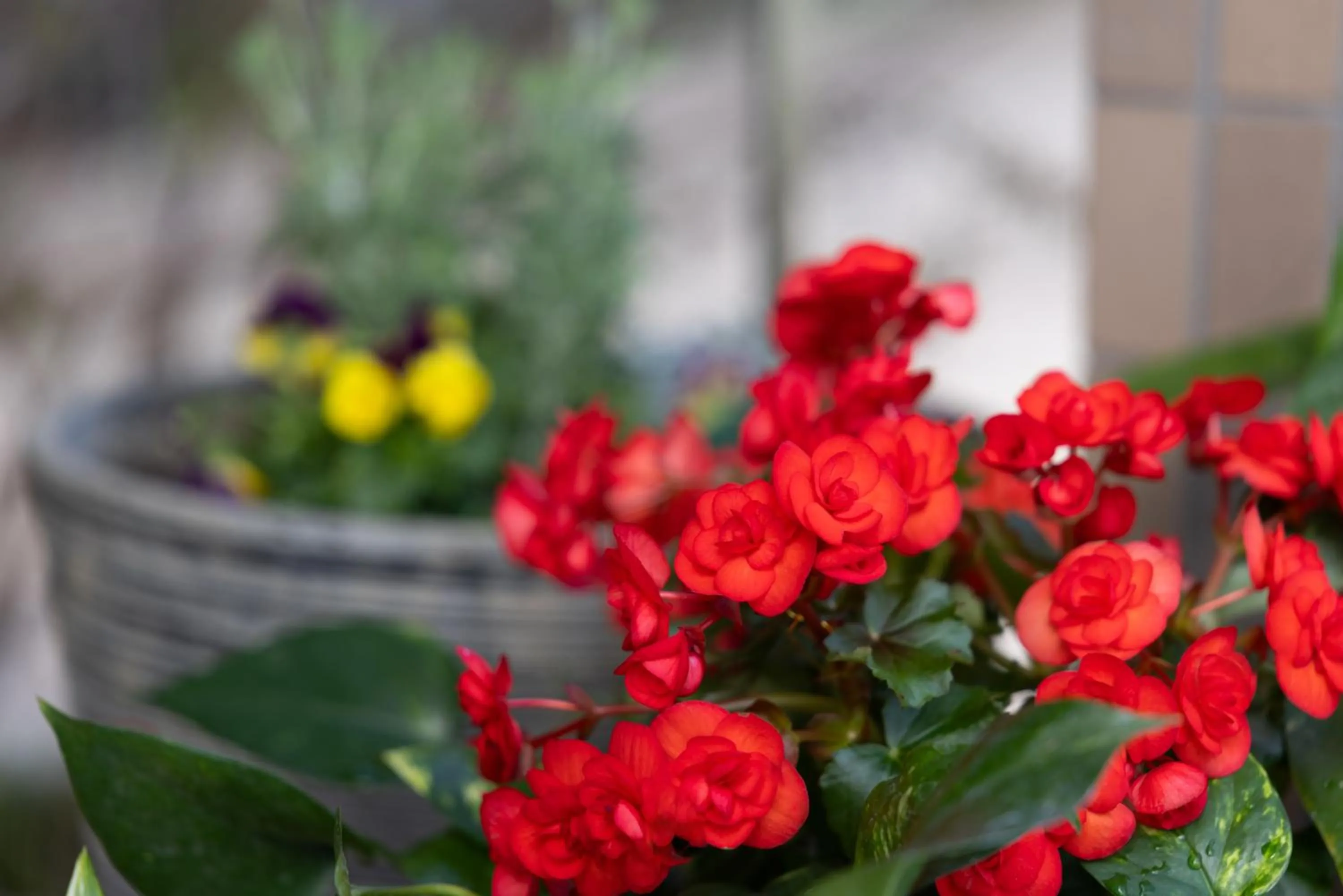 Property building in Sawa Hotel