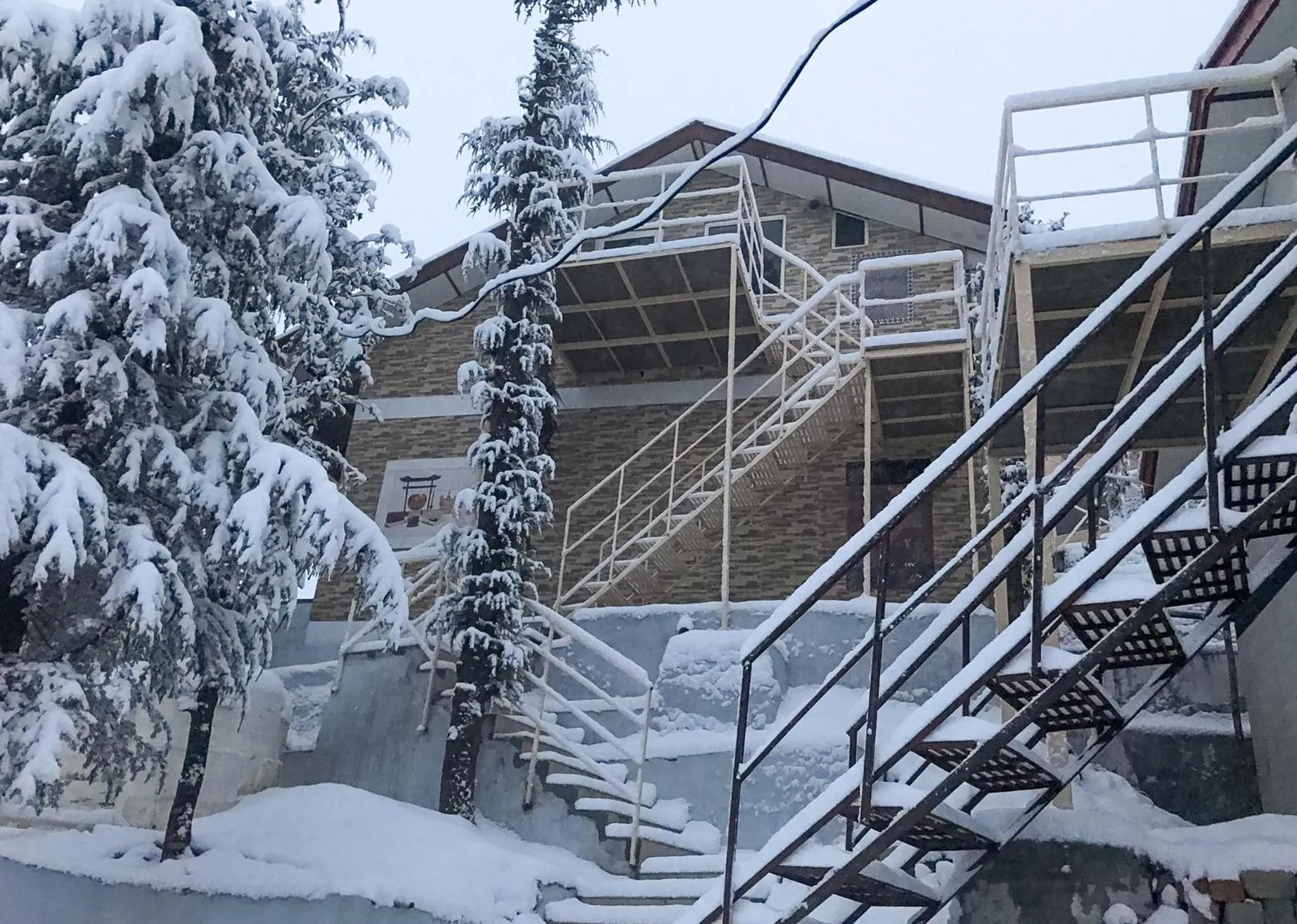 Natural landscape in KVR Clarks Inn, Kufri