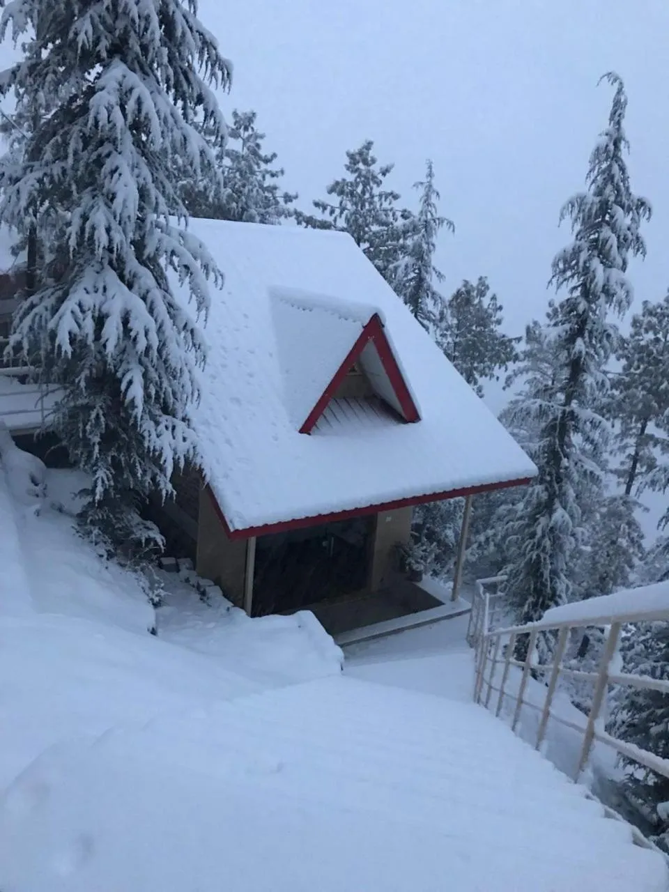 Natural landscape in KVR Clarks Inn, Kufri