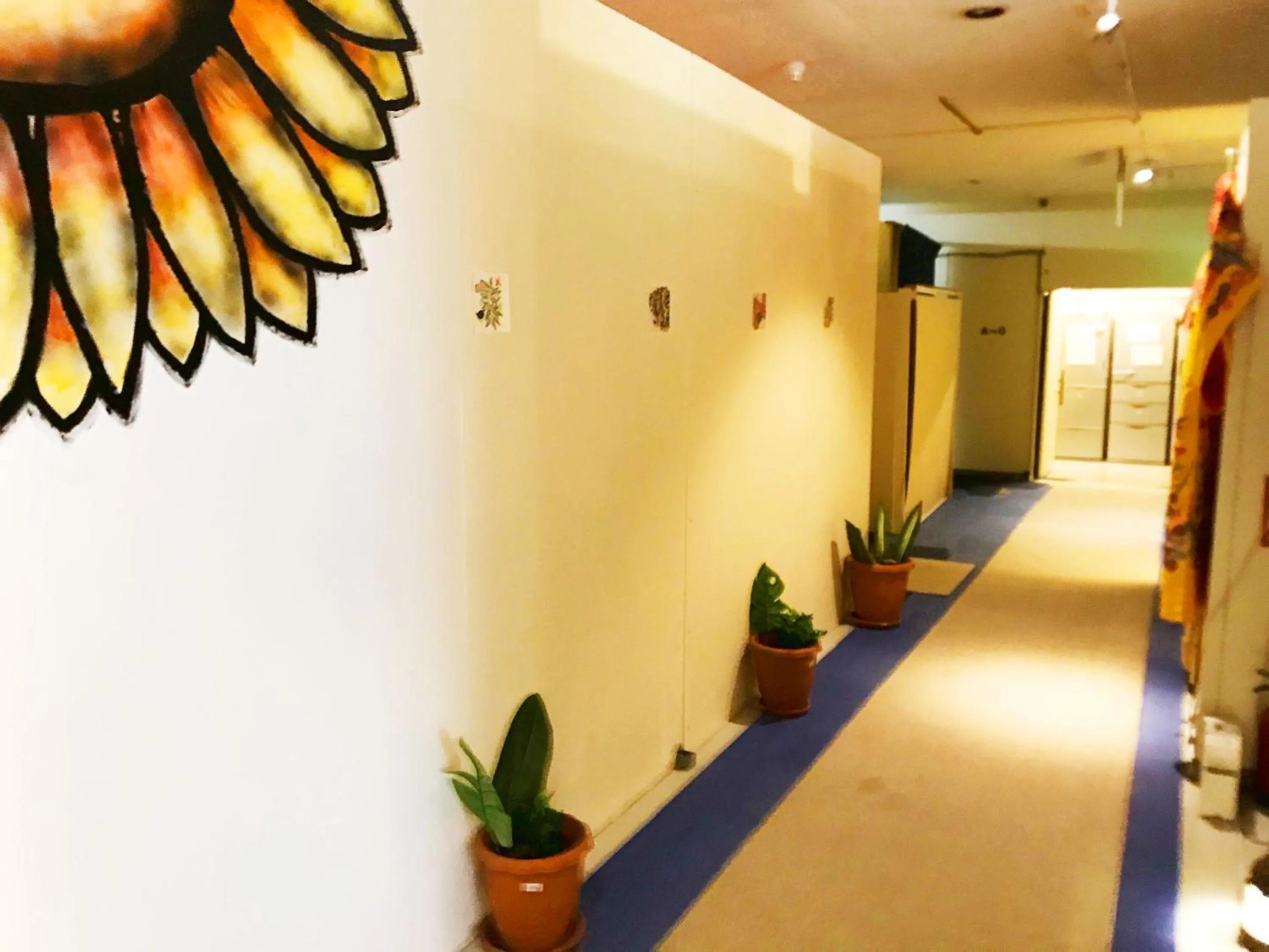 Area and facilities in Guesthouse Churayado Ishigakijima