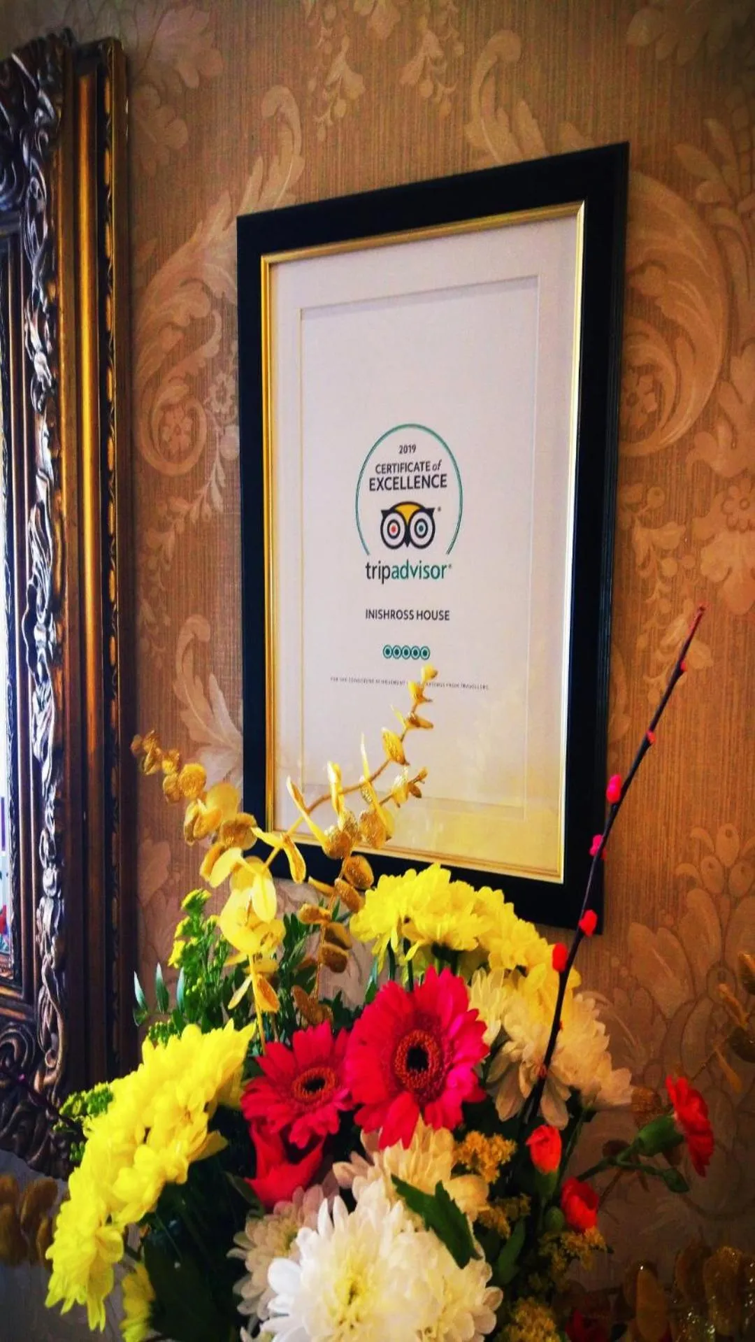 Certificate/Award in Inishross House