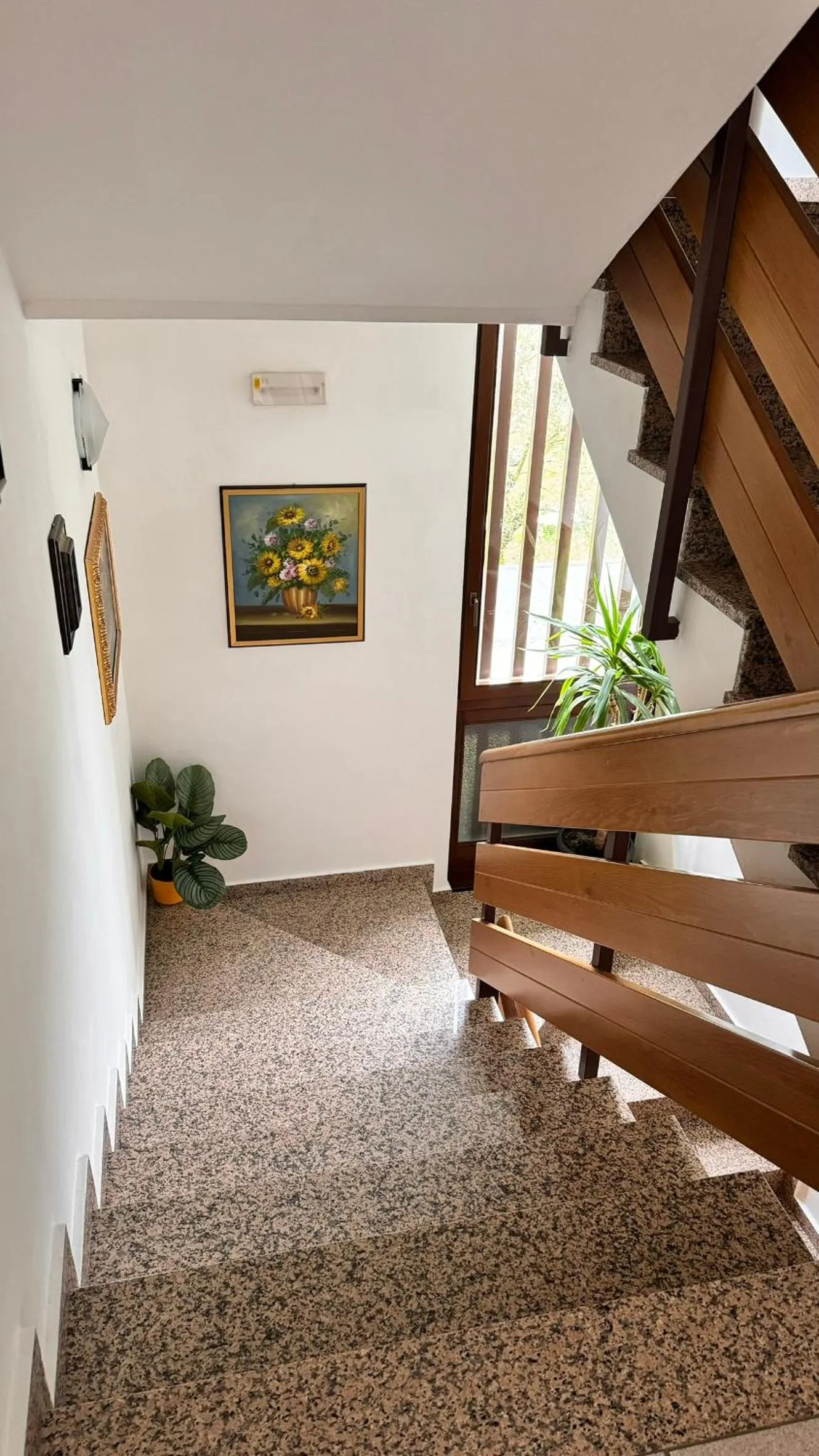 Patio in Albergo Stella Alpina