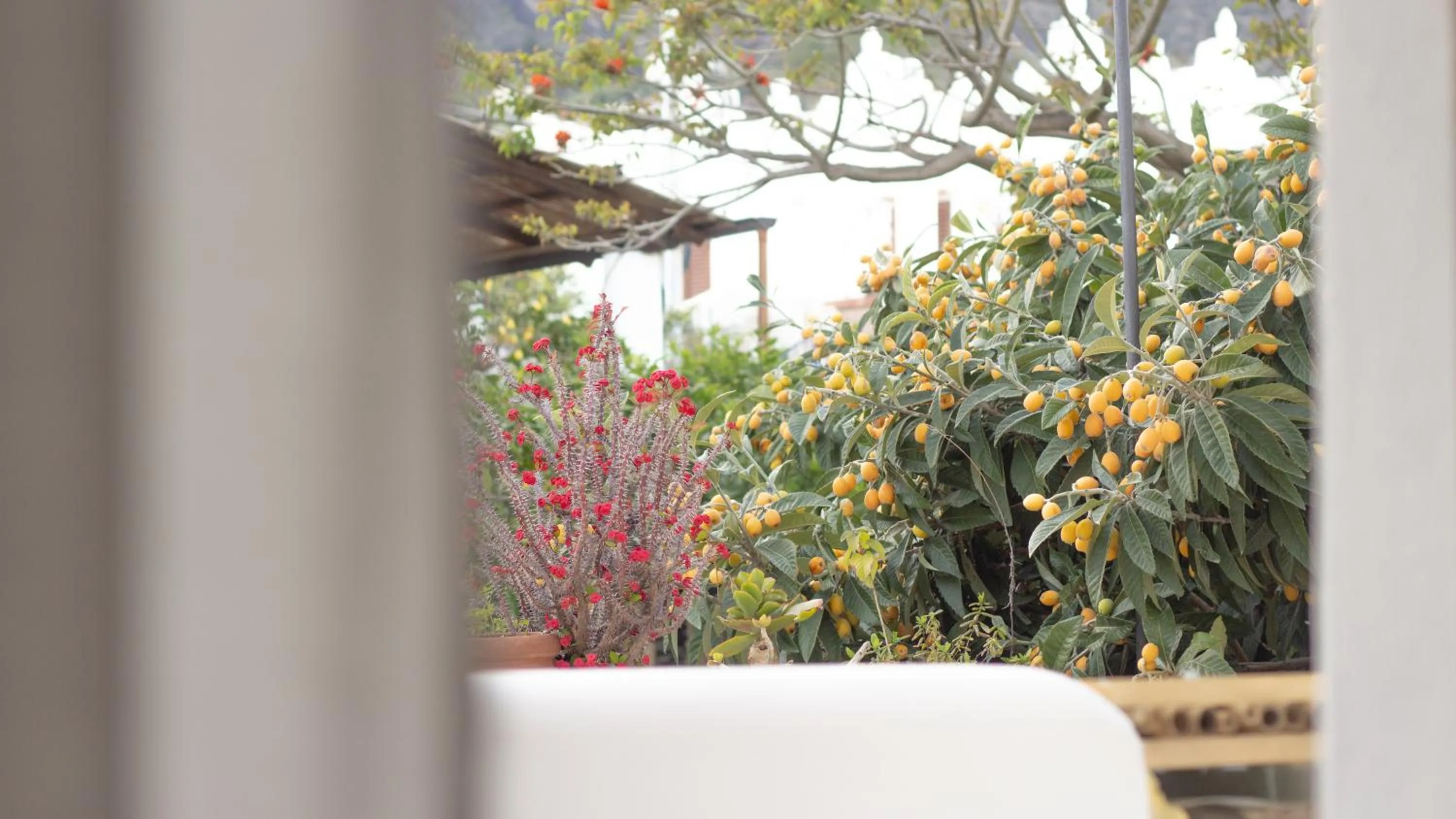 Garden in Boutique Hotel I Cinque Balconi