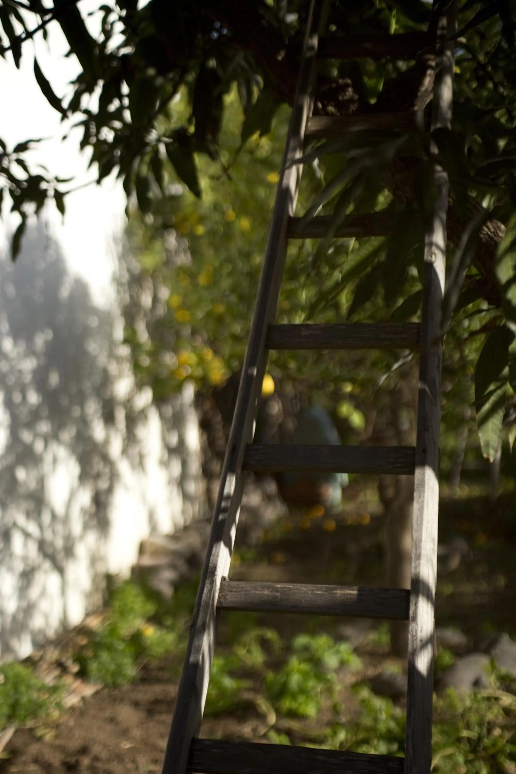 Decorative detail in Boutique Hotel I Cinque Balconi