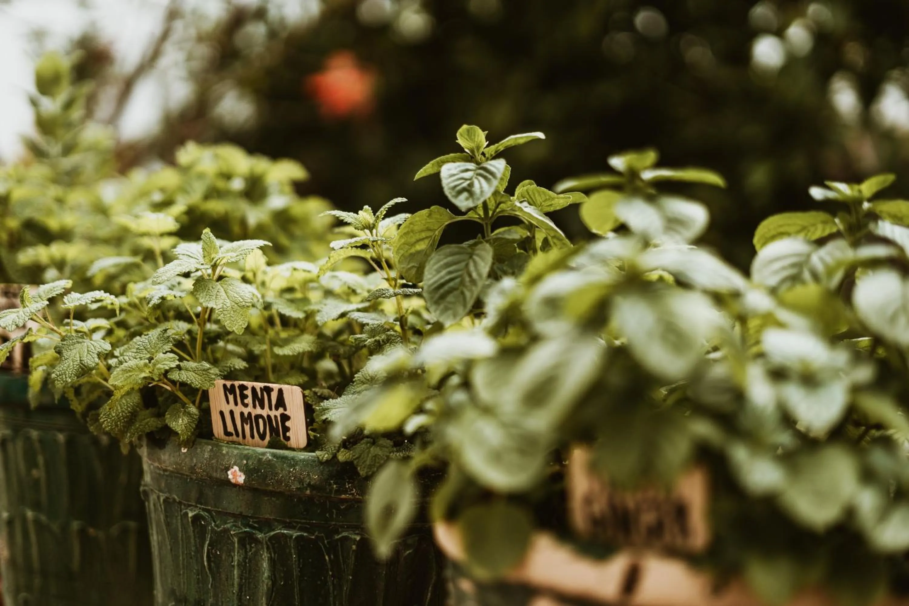 Boutique Hotel I Cinque Balconi