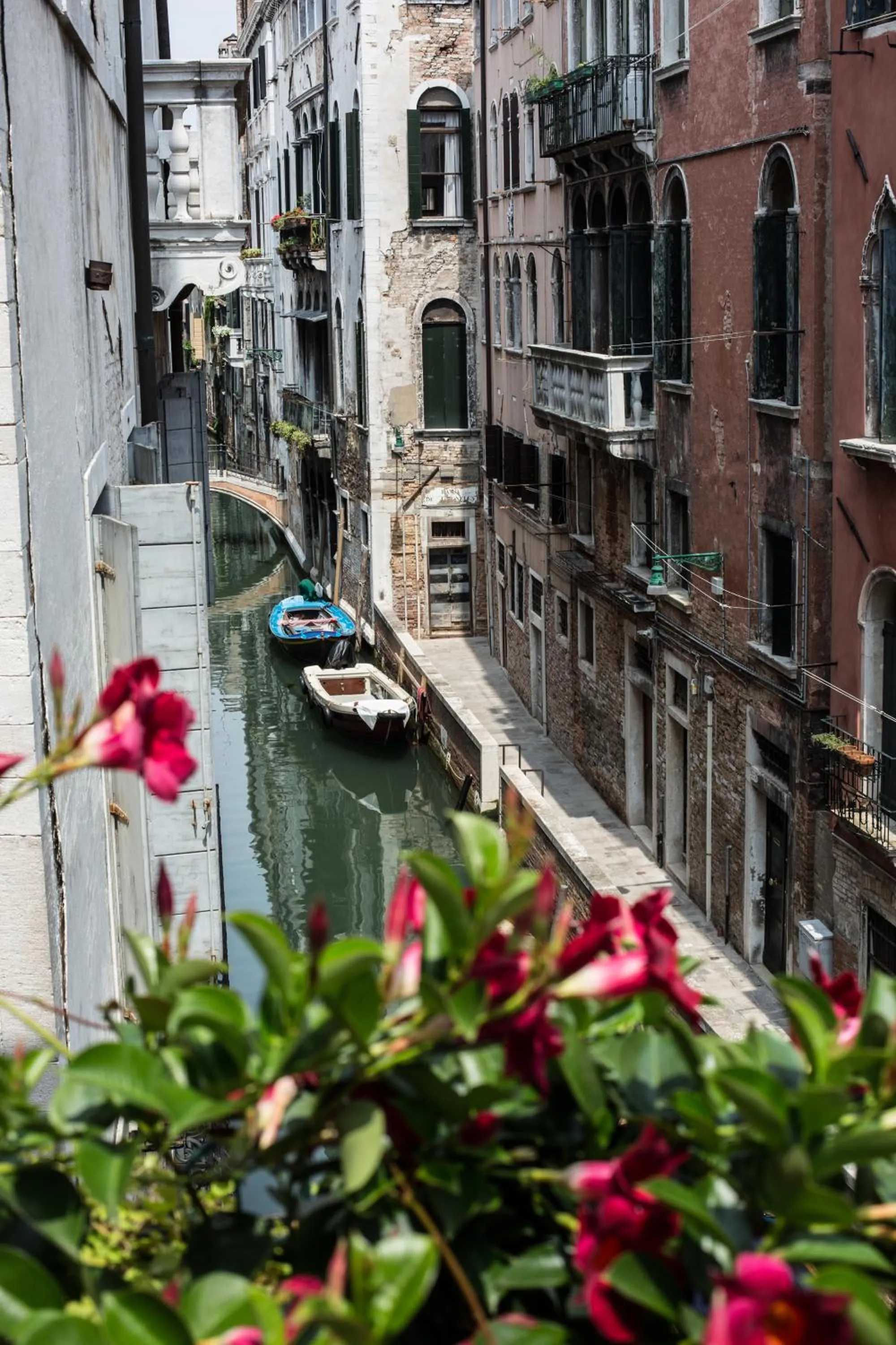 View (from property/room) in B&B Ca' Bonvicini