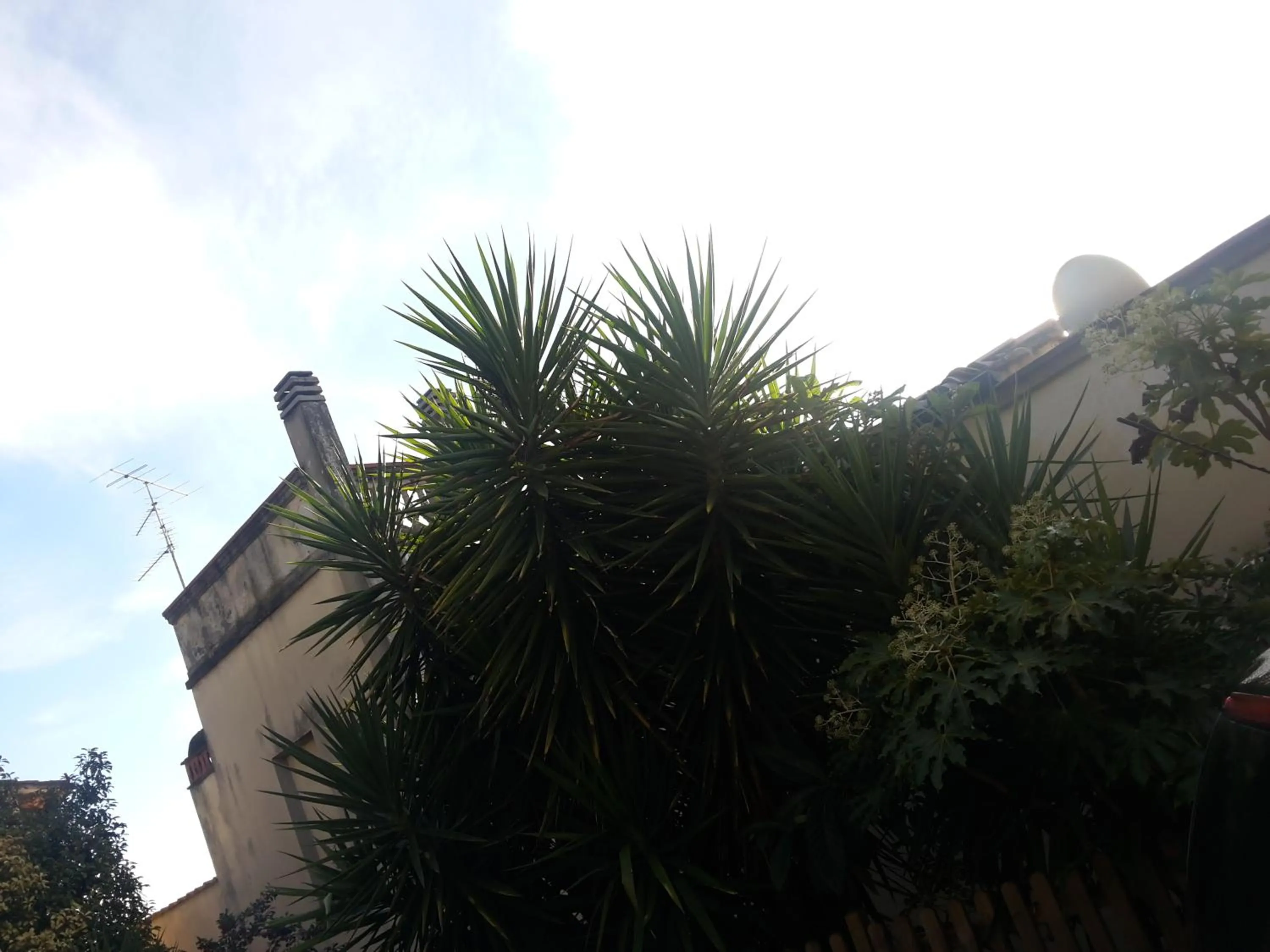 Facade/entrance in B&B L'Orologio