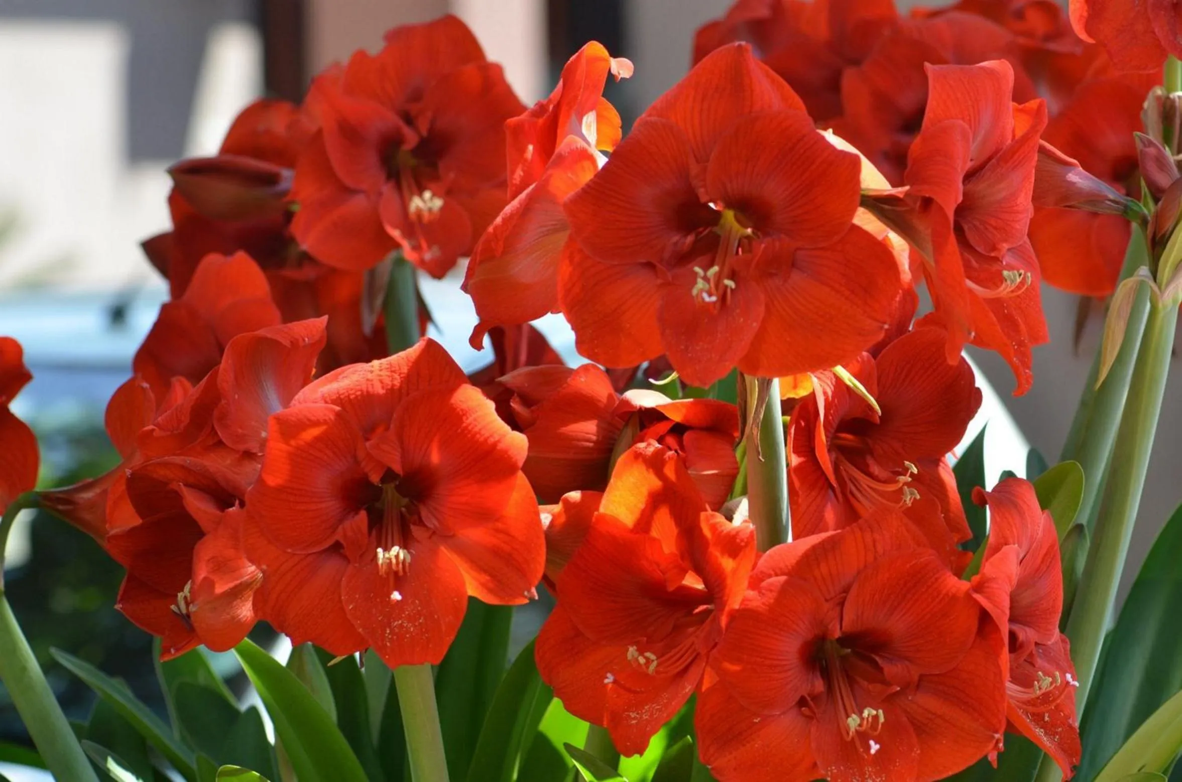 Decorative detail in Bed & Breakfast in Hatfield