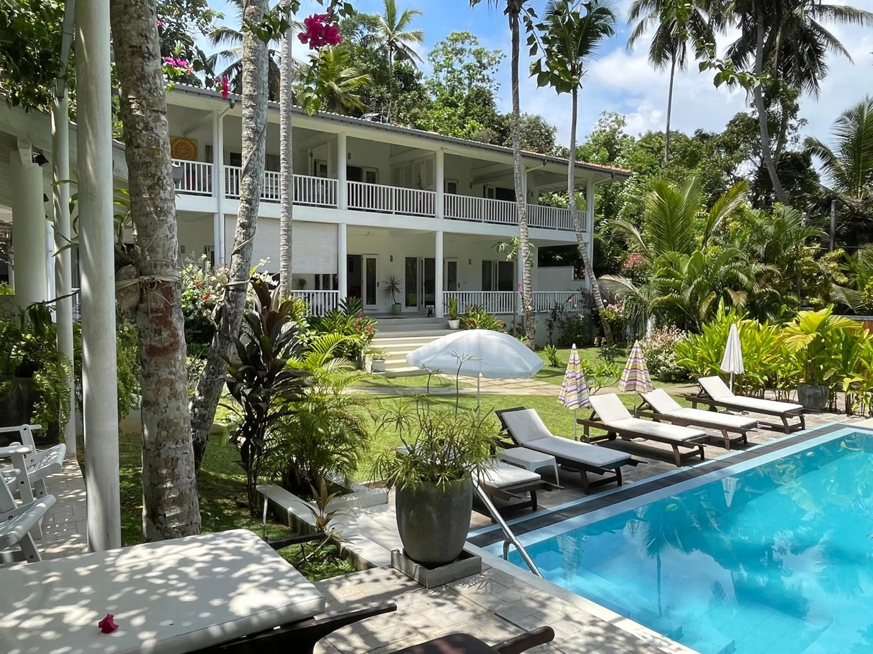Garden view in Plantation House