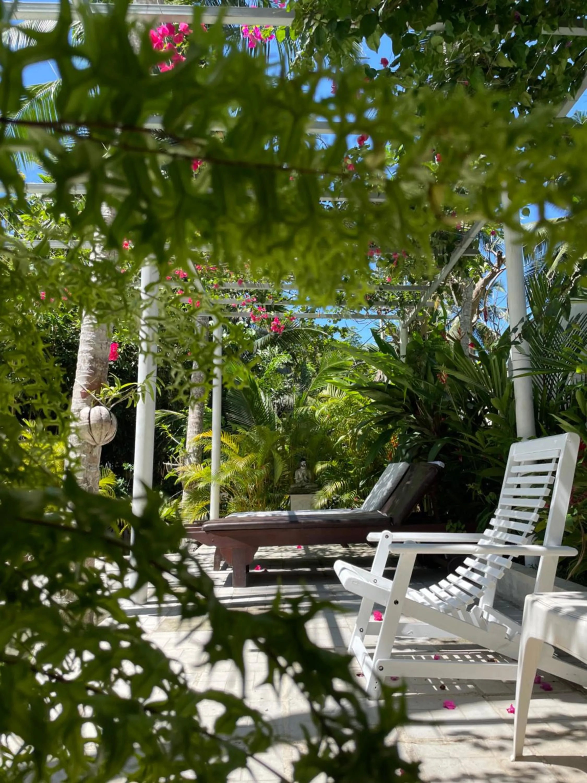 Garden in Plantation House