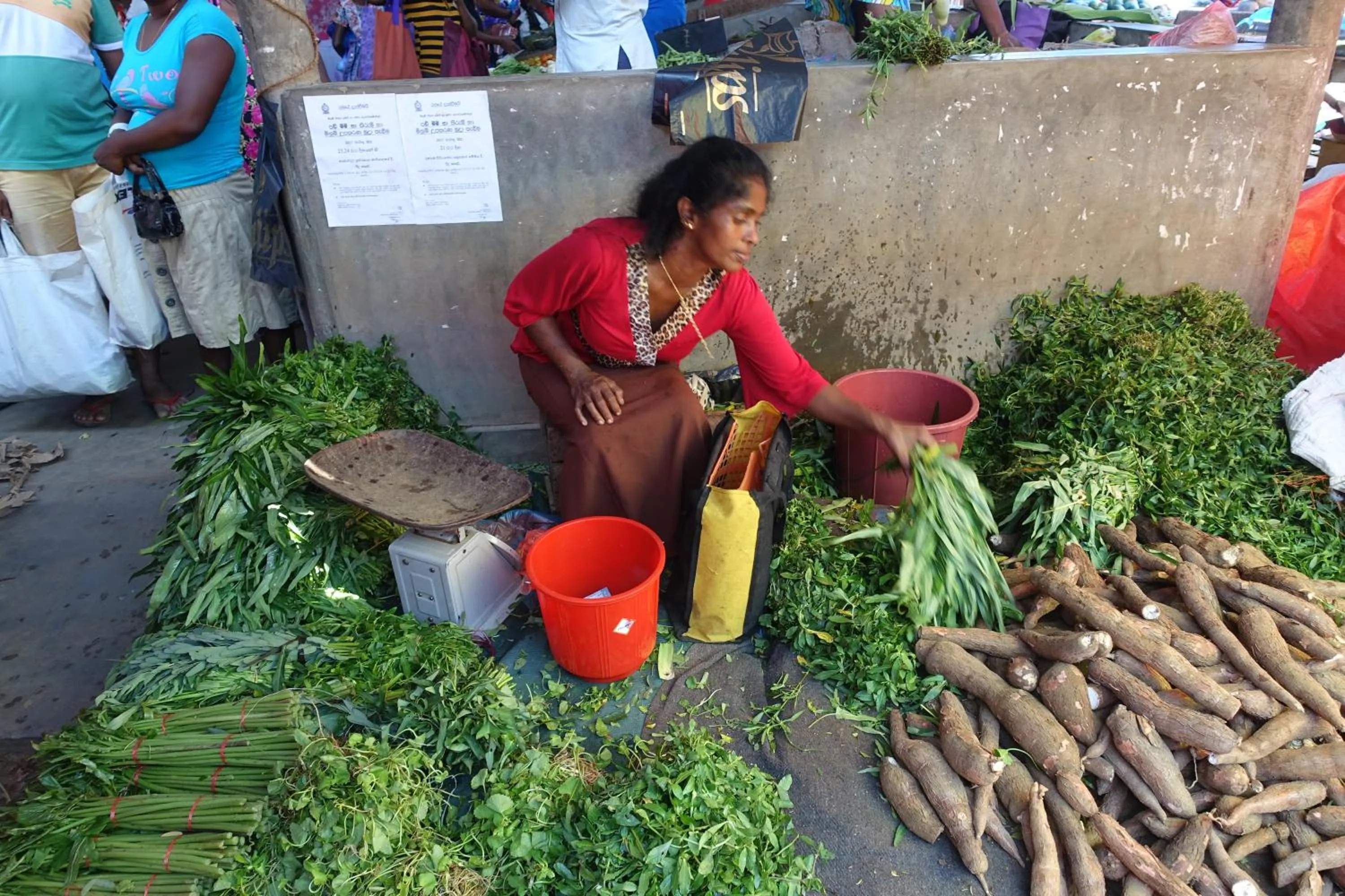 Supermarket/grocery shop in Plantation House
