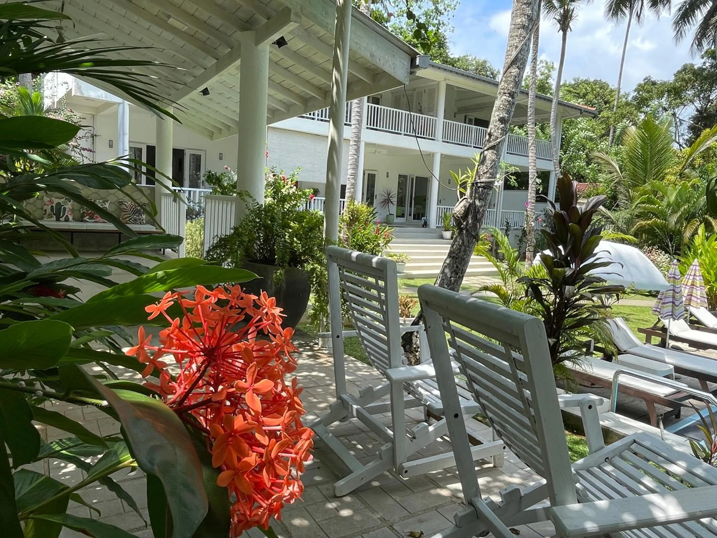 Garden in Plantation House
