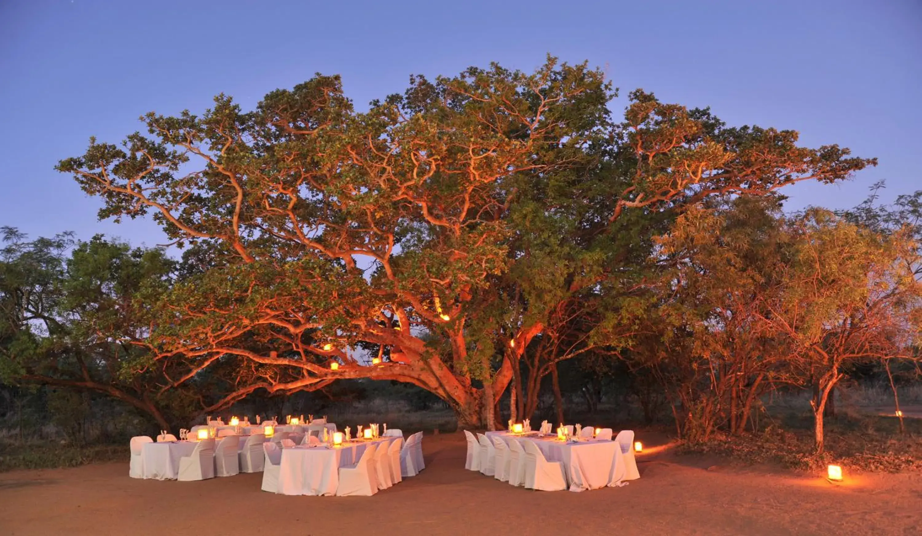 Restaurant/places to eat in Mabula Game Lodge Restaurant/places to eat in Mabula Game Lodge