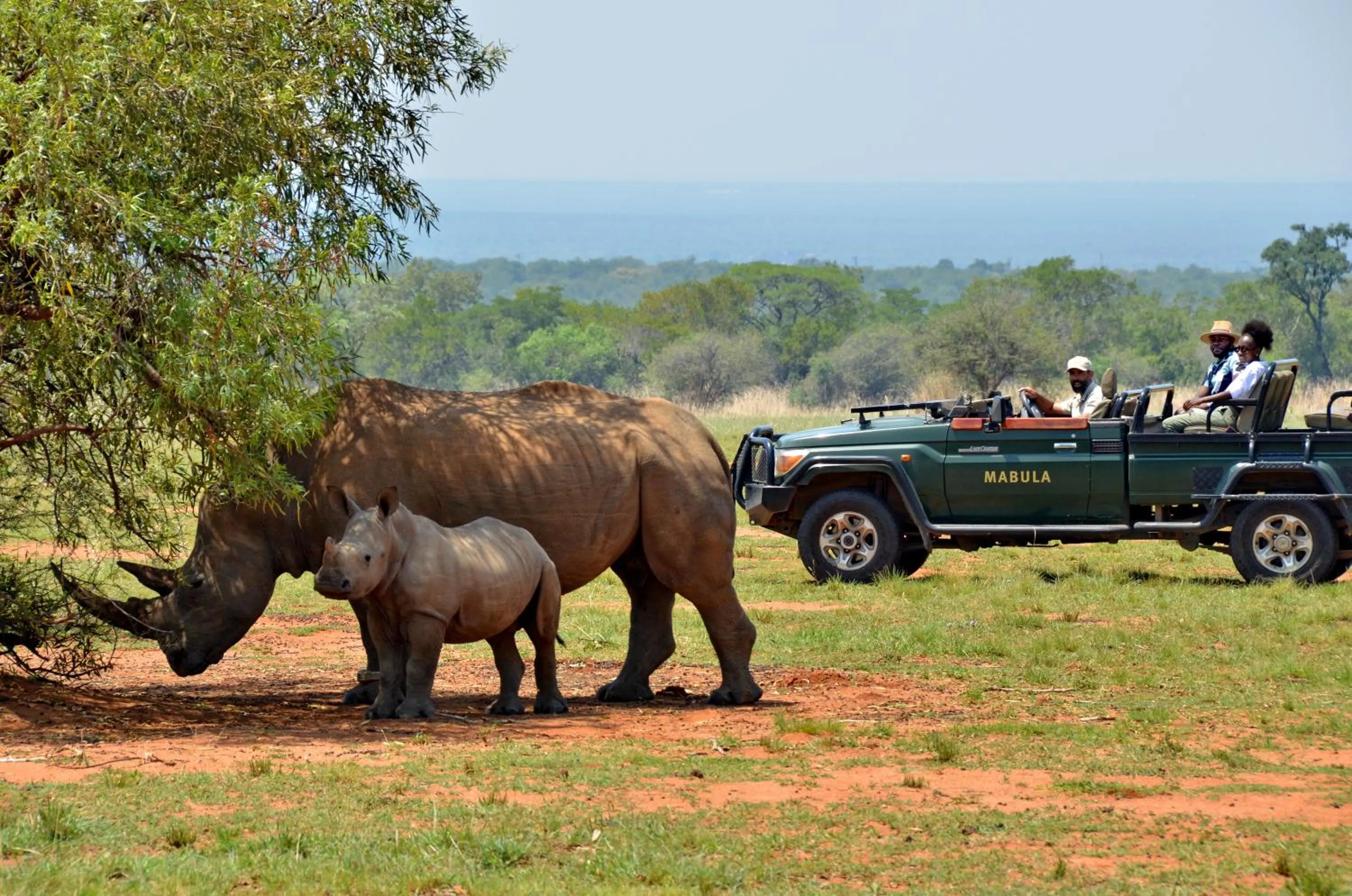 Activities in Mabula Game Lodge