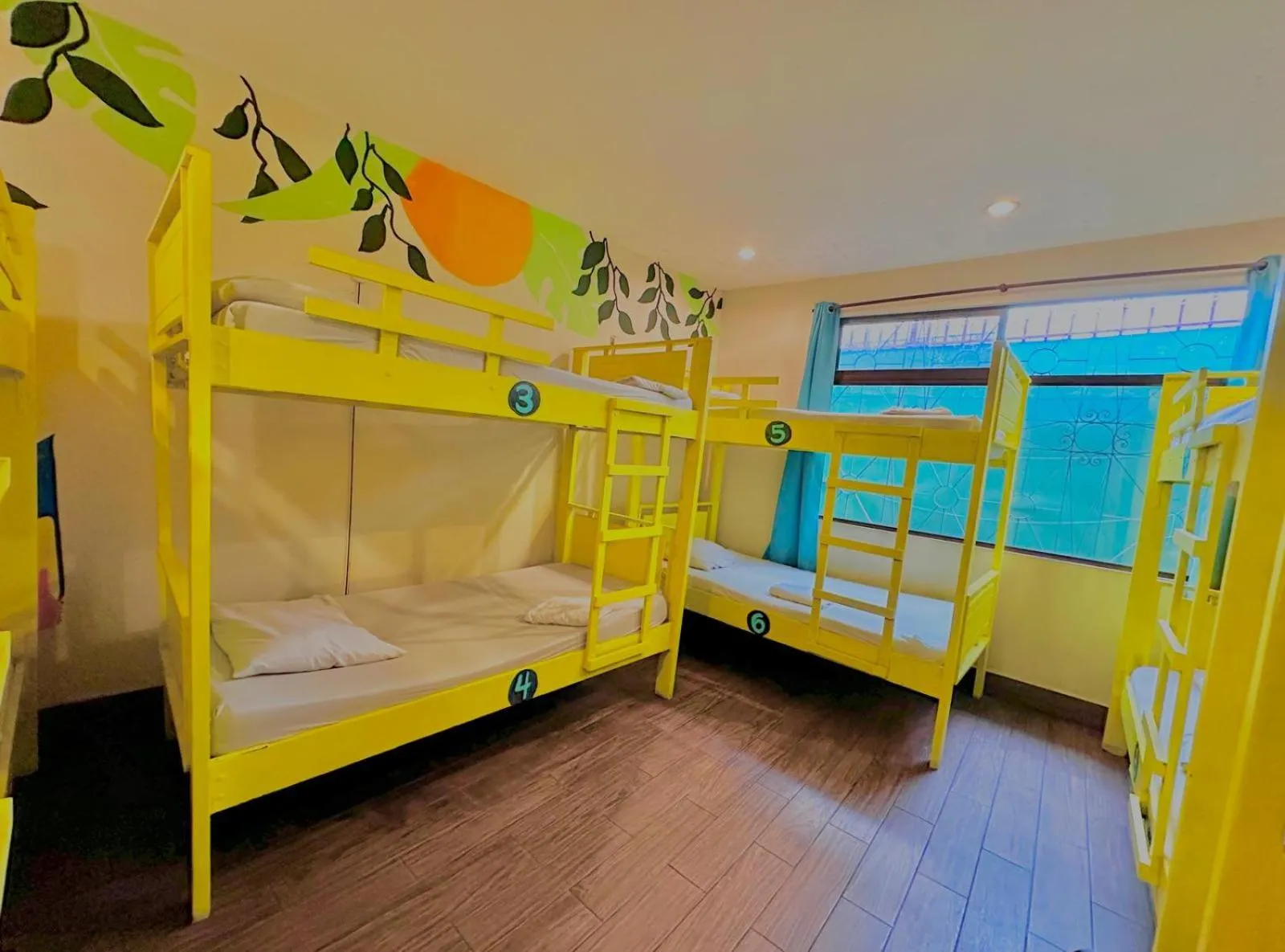 Single Bed in 10-Bed Dormitory Room in Stray Cat Hostel