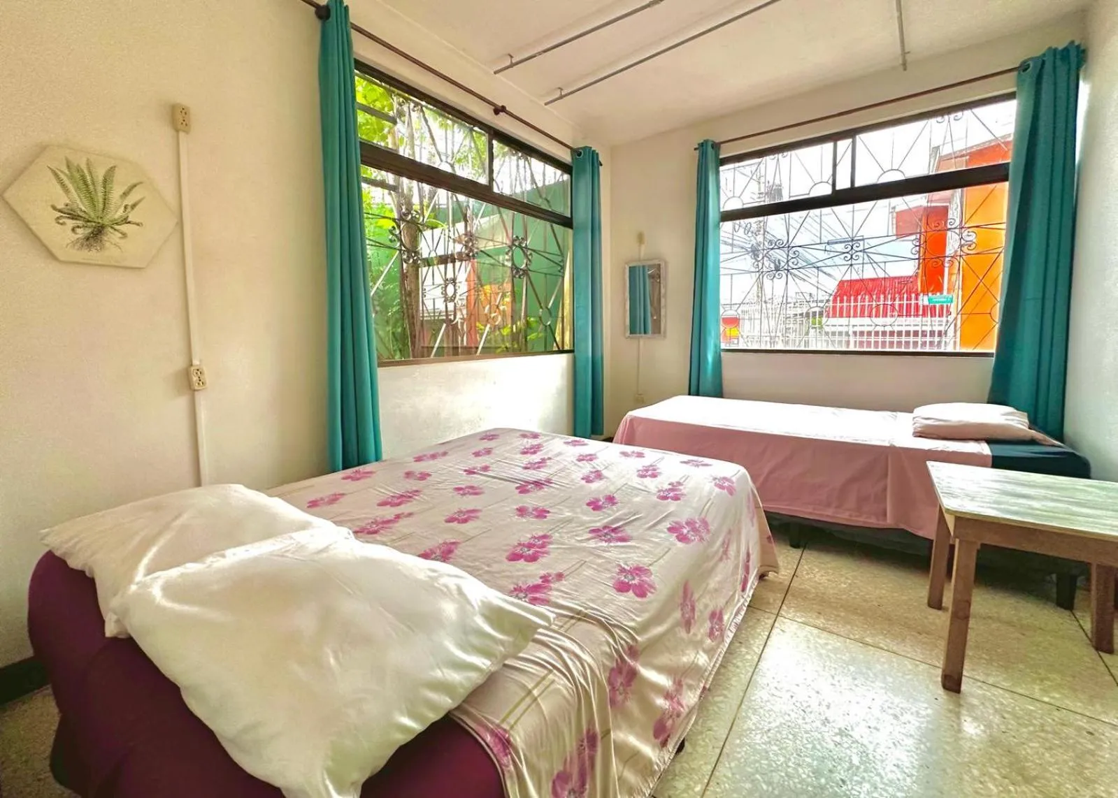 Stray Cat Hostel