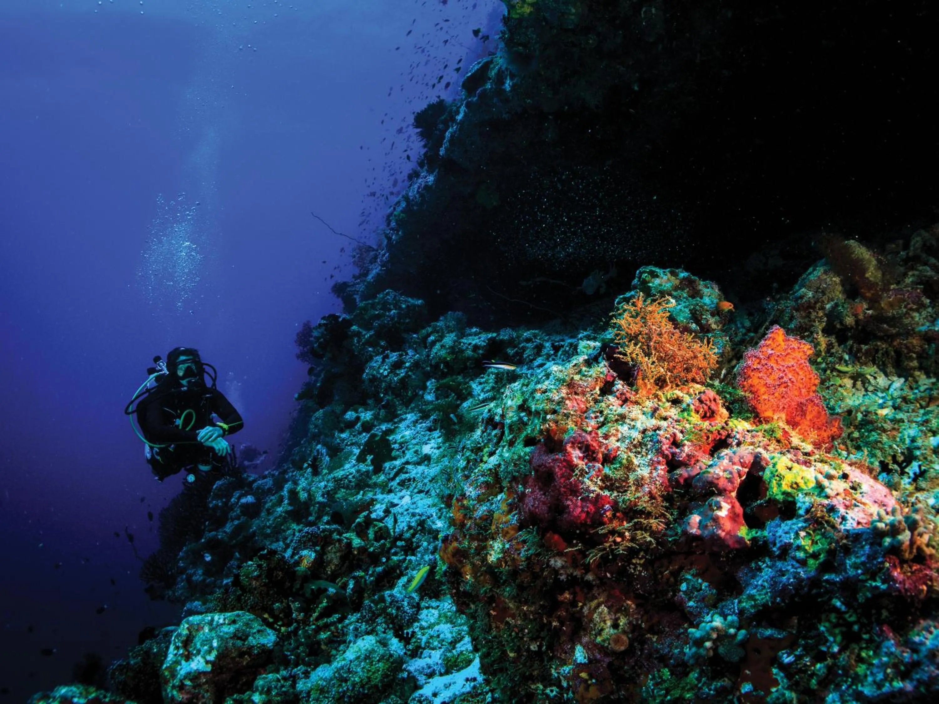 Diving in OBLU SELECT Sangeli - Premium All Inclusive with Free Transfers