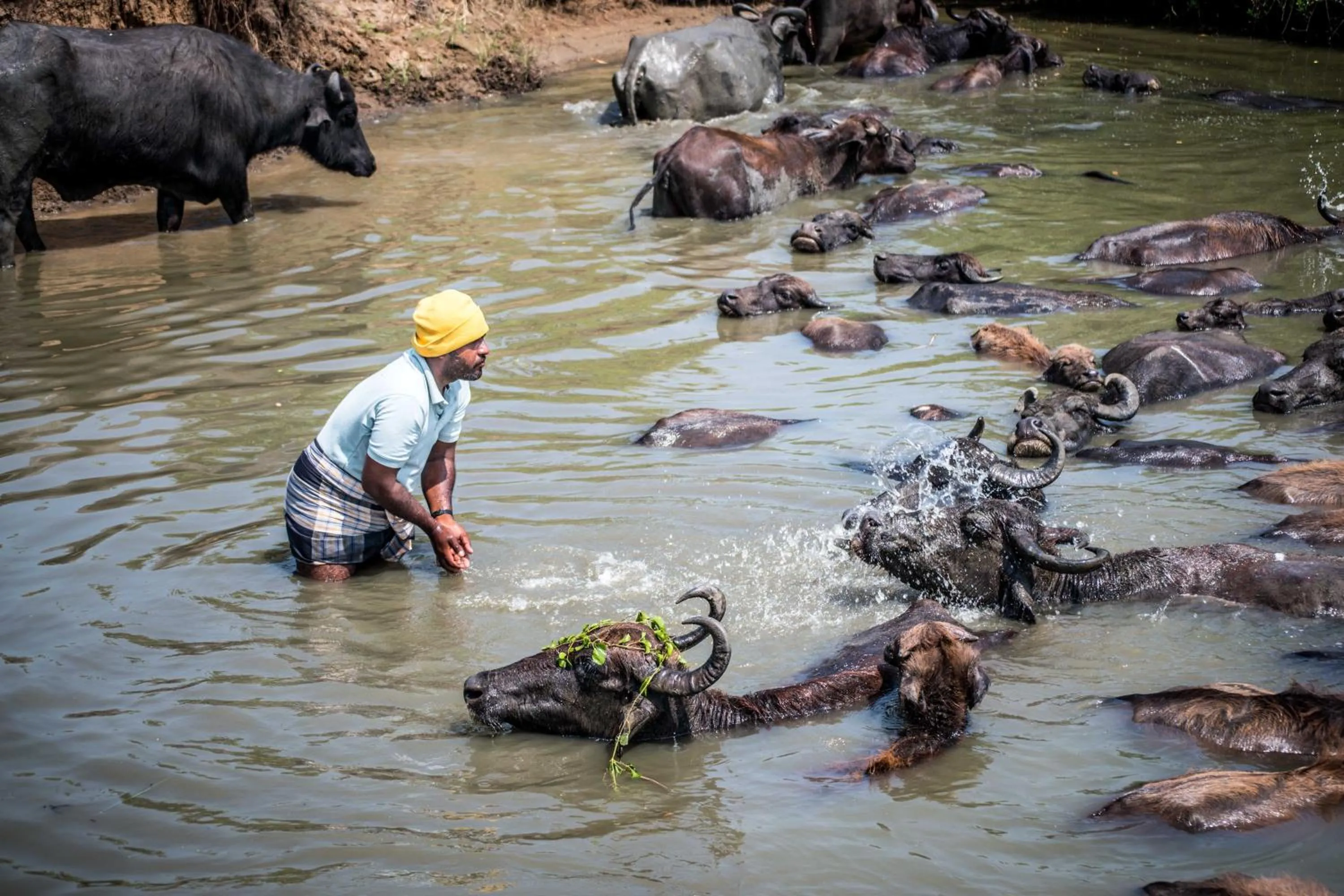 Neighbourhood in Ladja Beach Resort
