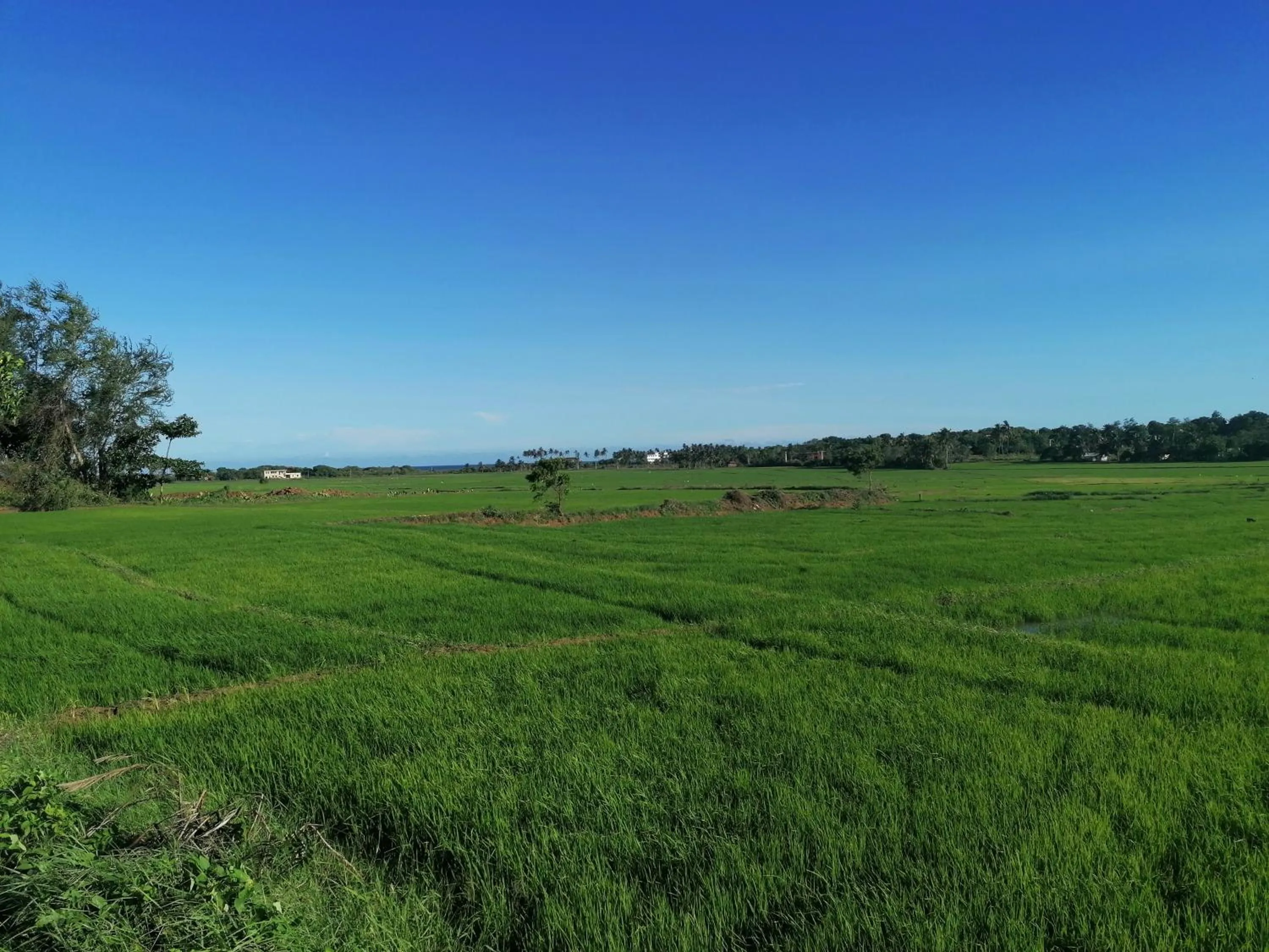 Natural landscape in Ladja Beach Resort