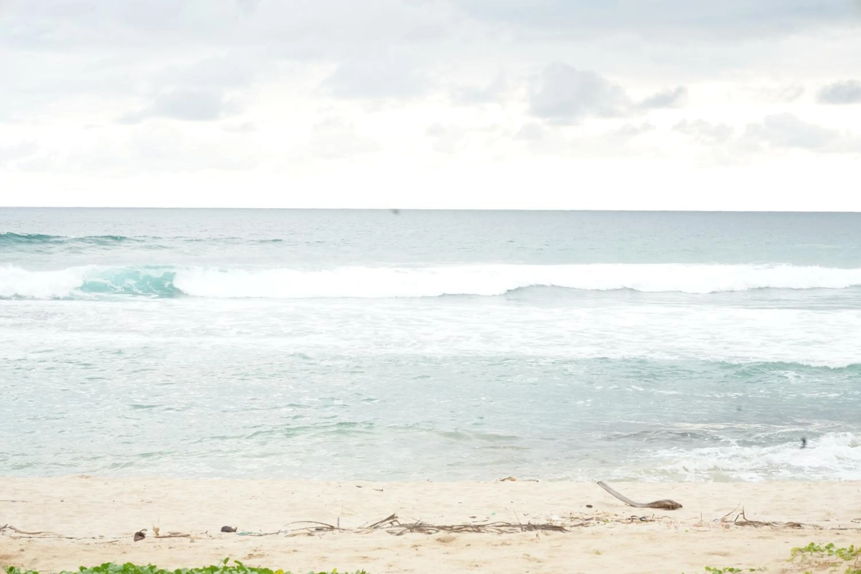 Beach in Surf Orchid Villa