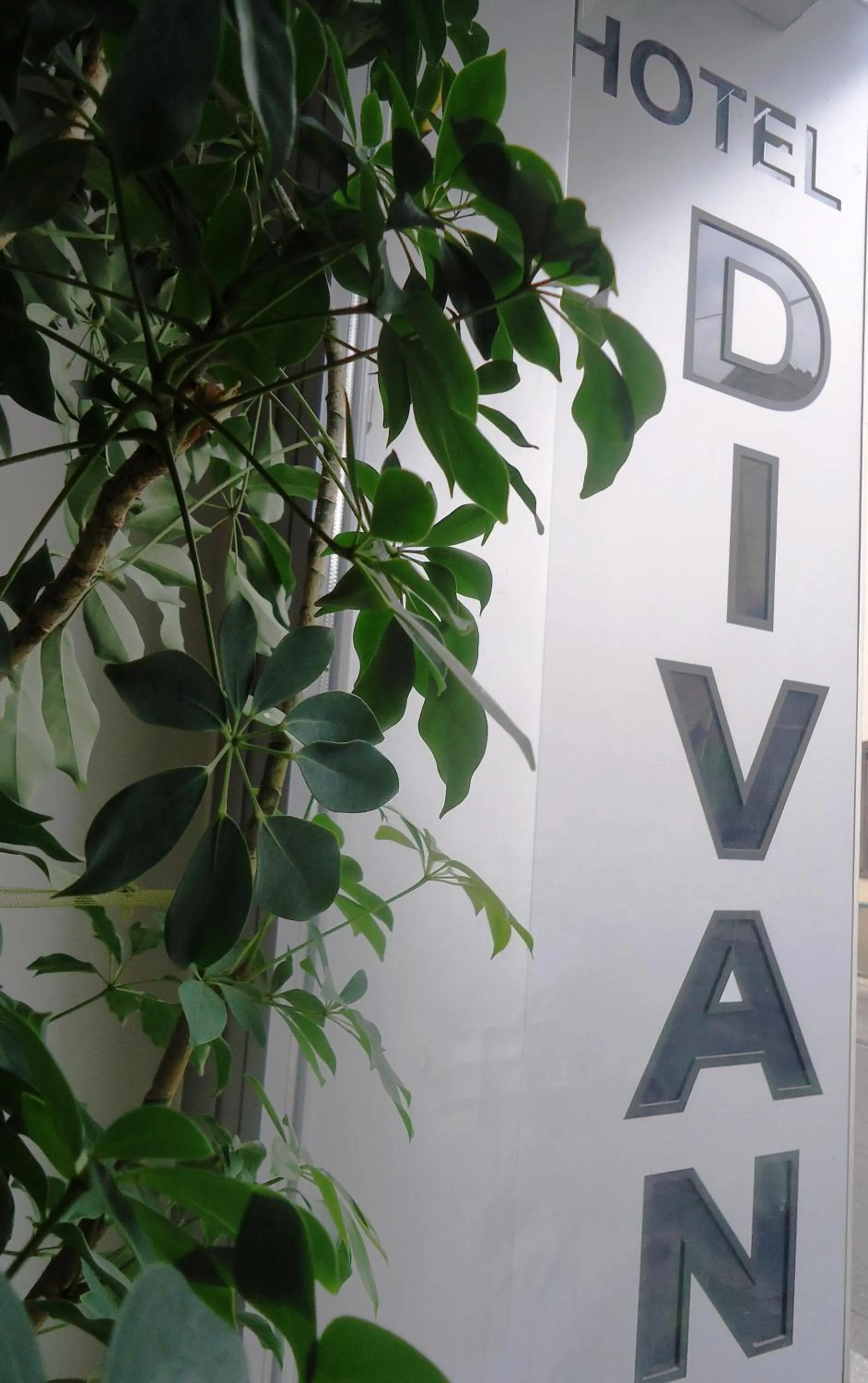 Property building in Hotel Divan