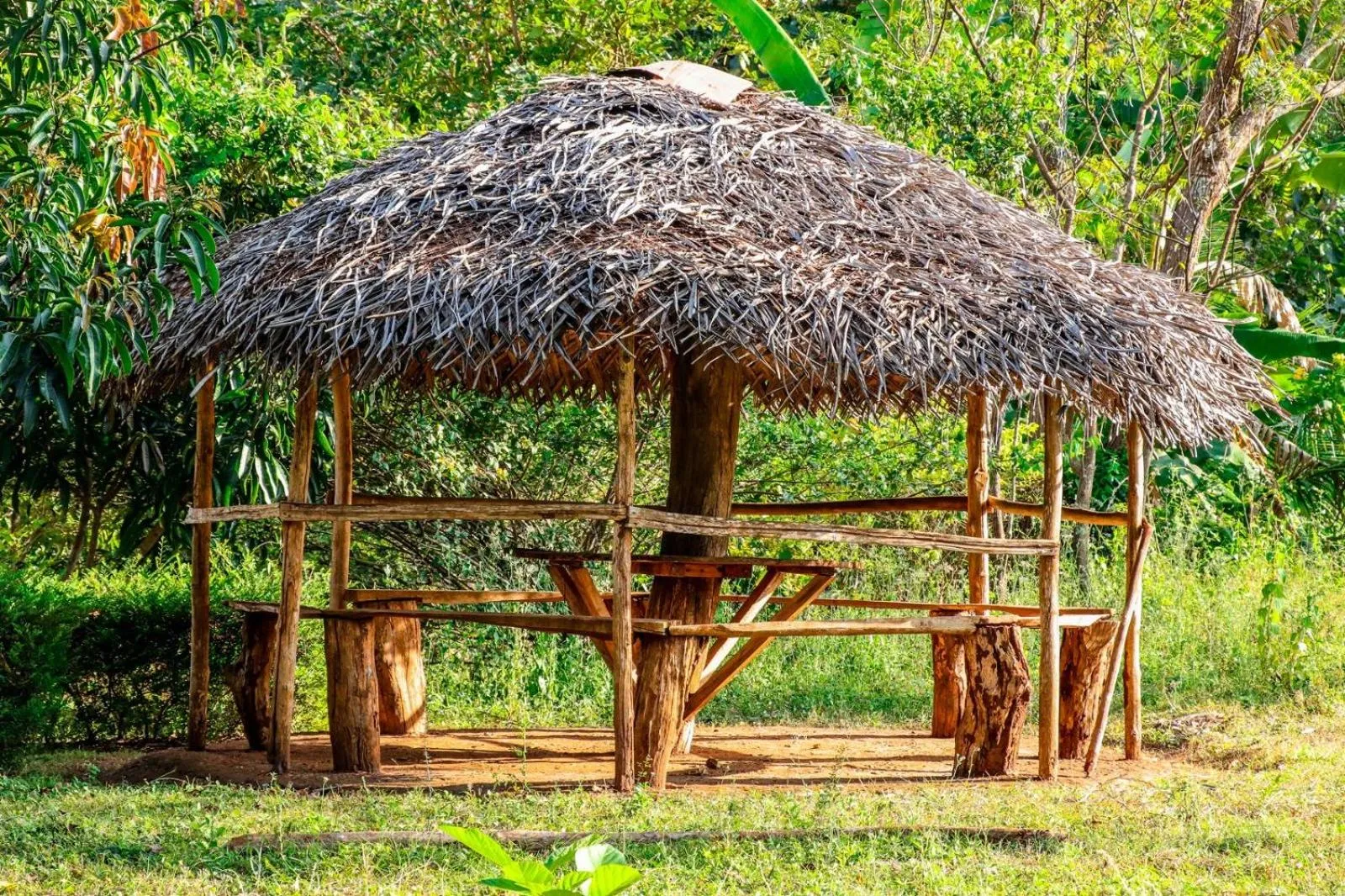 Peacock Resort