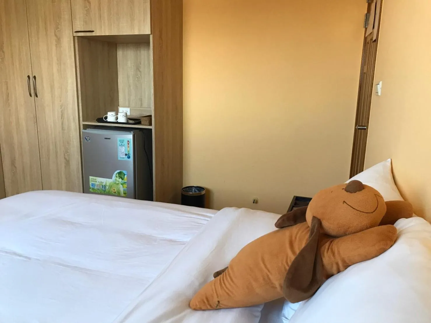 Standard Double Room in Ding Dong Homestay