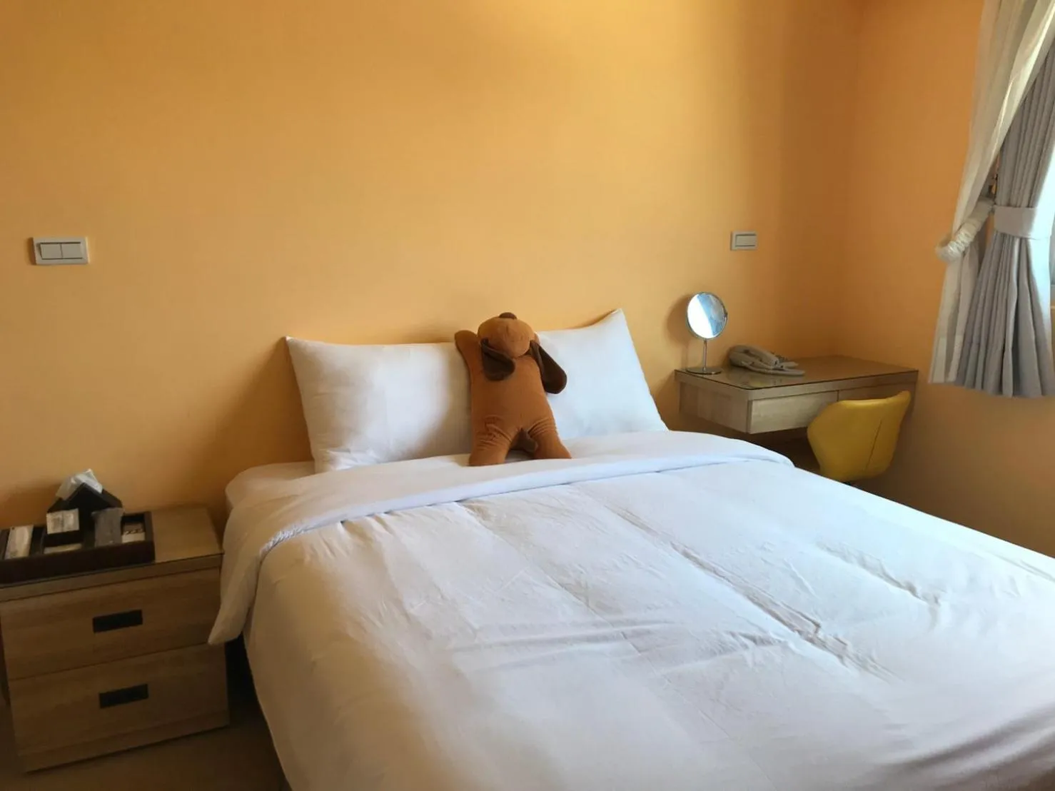 Standard Double Room in Ding Dong Homestay