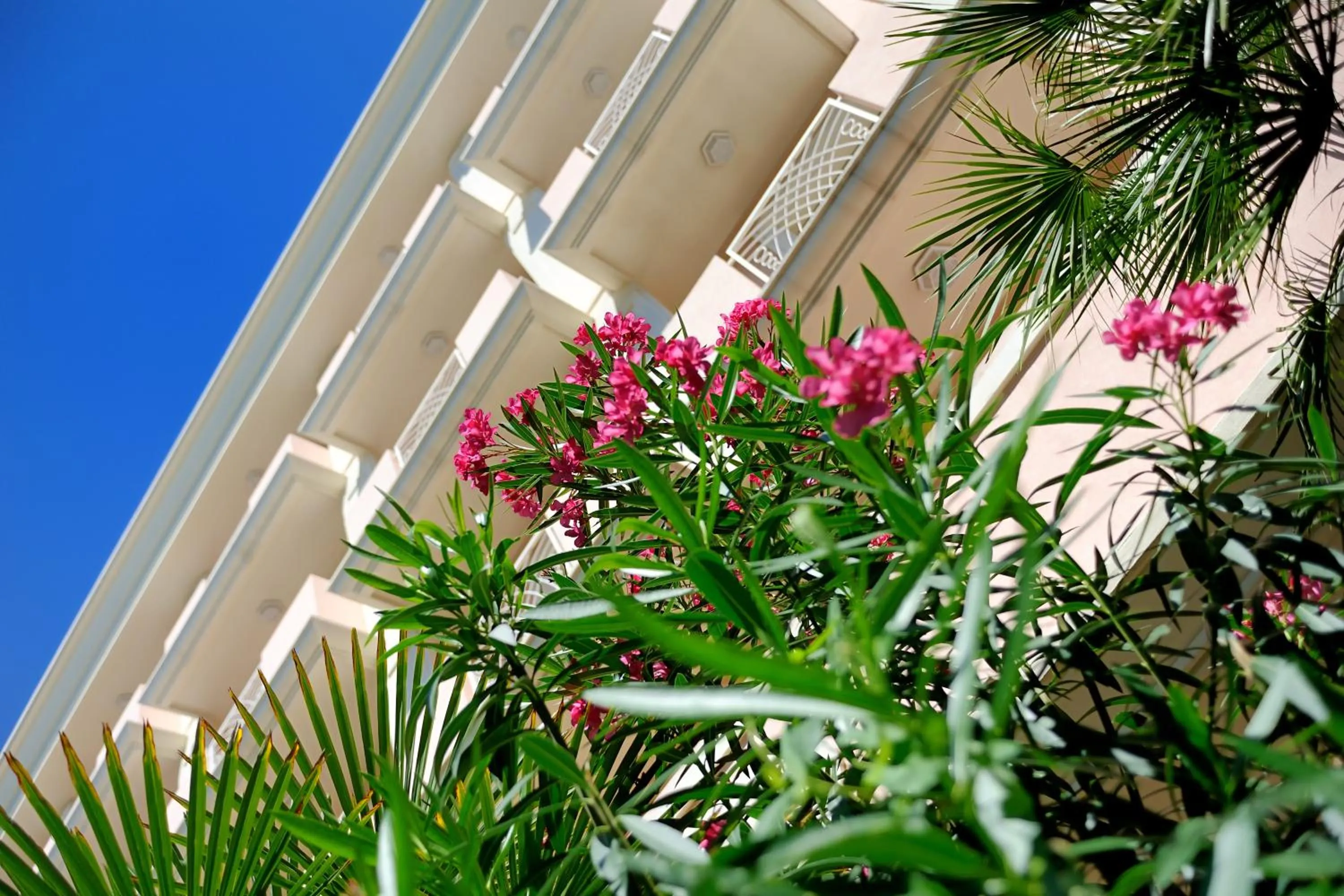 Facade/entrance in Hotel Tiffany