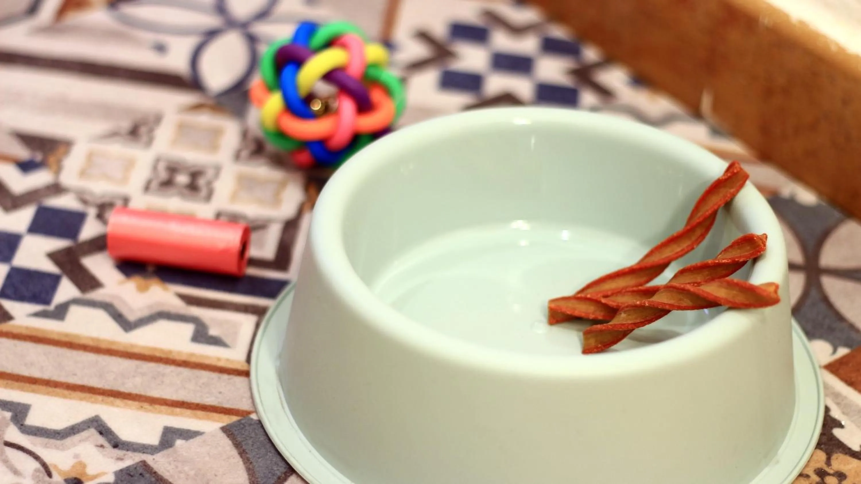 Pets in Apartamentos Nest Flats Casa de la Alberca