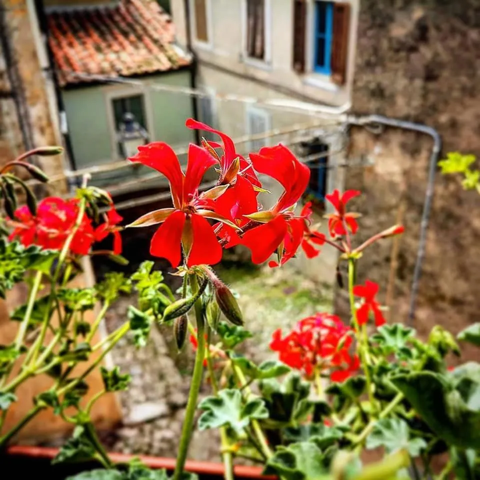 Quiet street view in Dulcis in Borgo