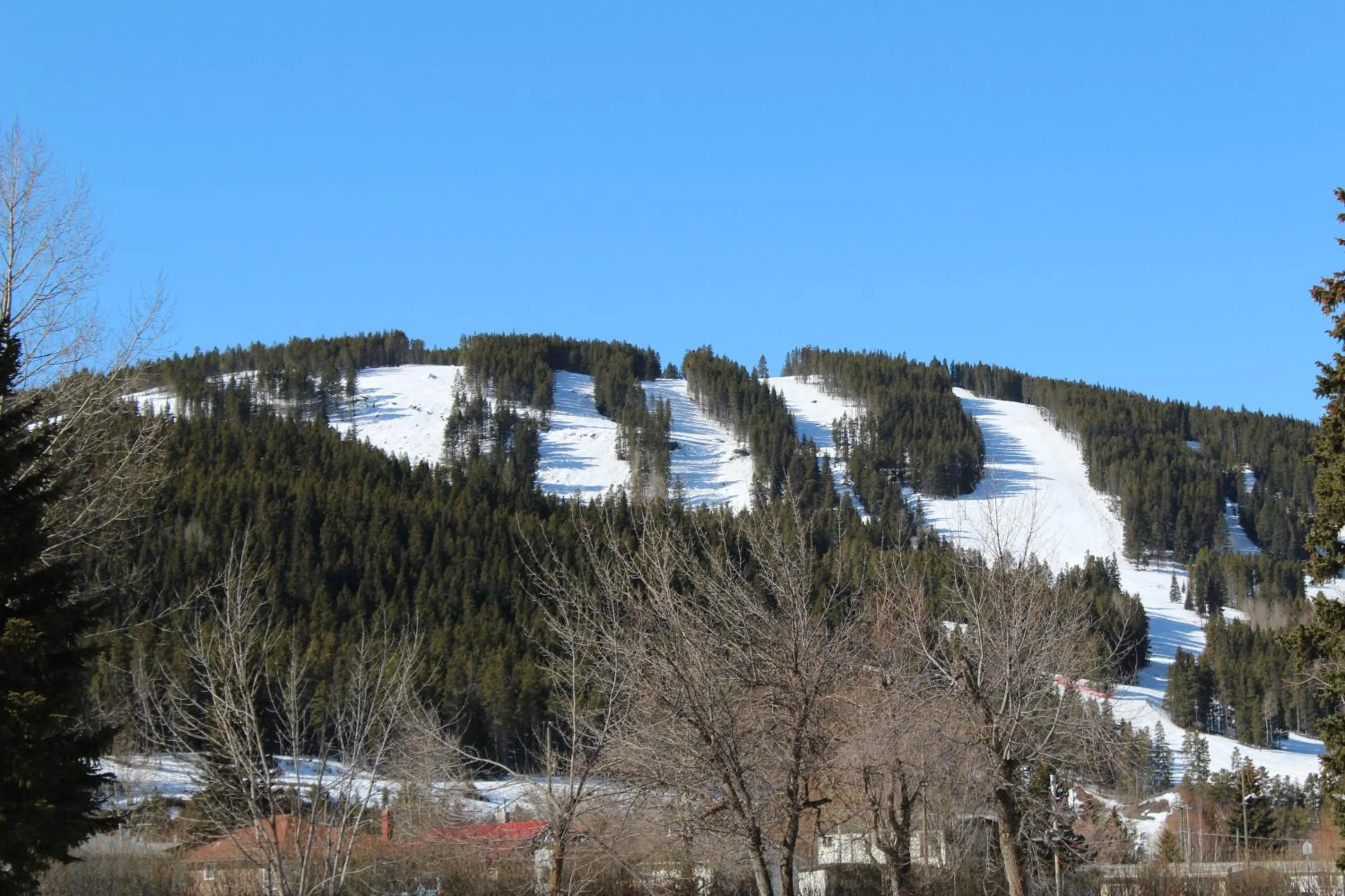 Natural landscape in The Cosmopolitan Hotel