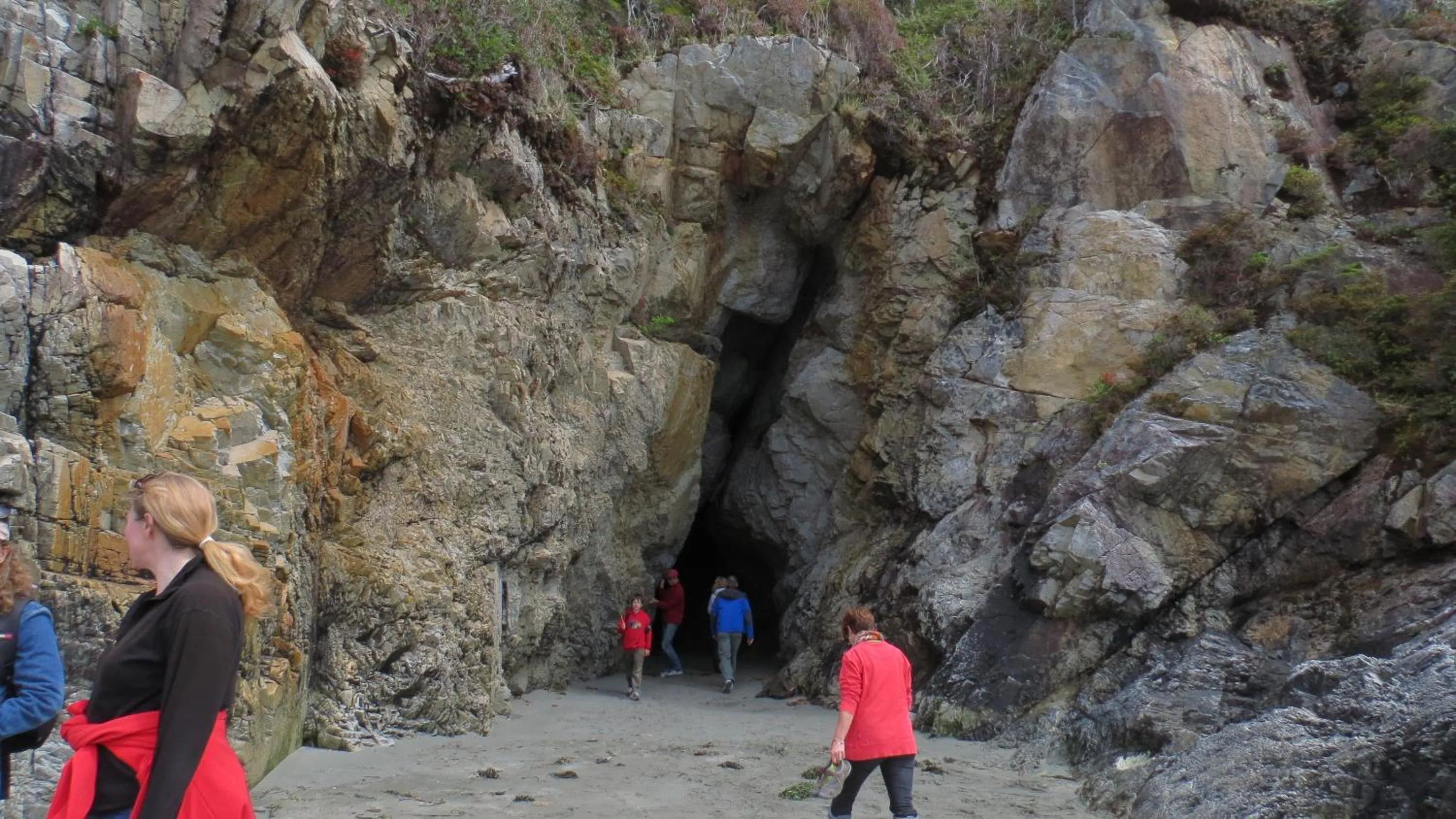Natural landscape in Cobble Wood and Bird Sanctuary Guest Houses