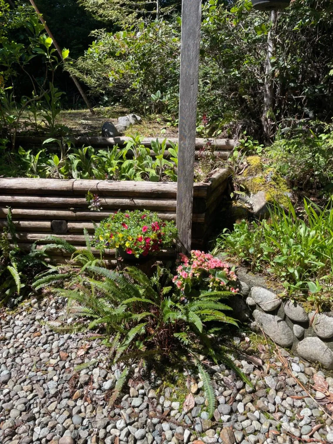 Garden in Cobble Wood and Bird Sanctuary Guest Houses