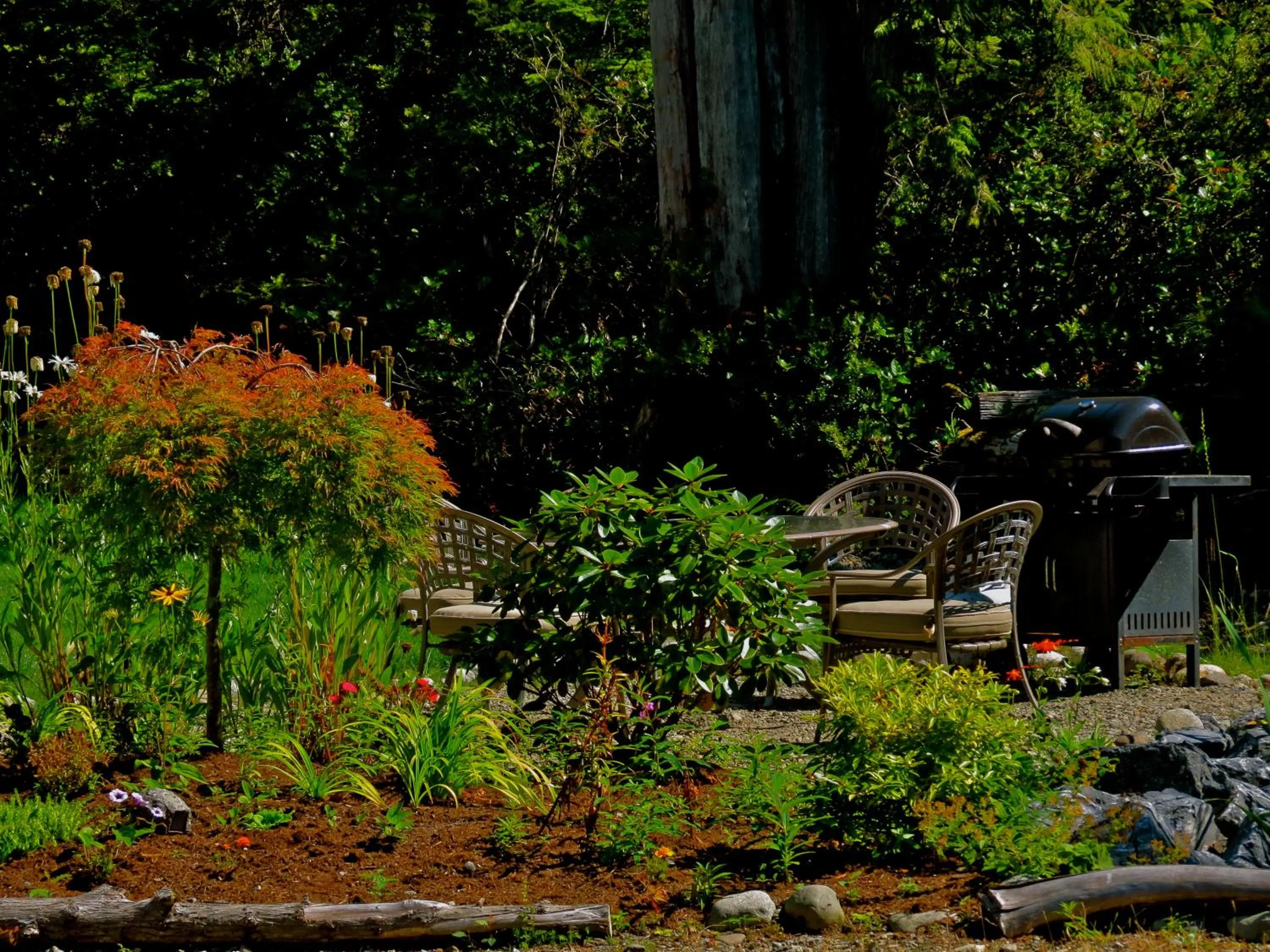 On site in Cobble Wood and Bird Sanctuary Guest Houses