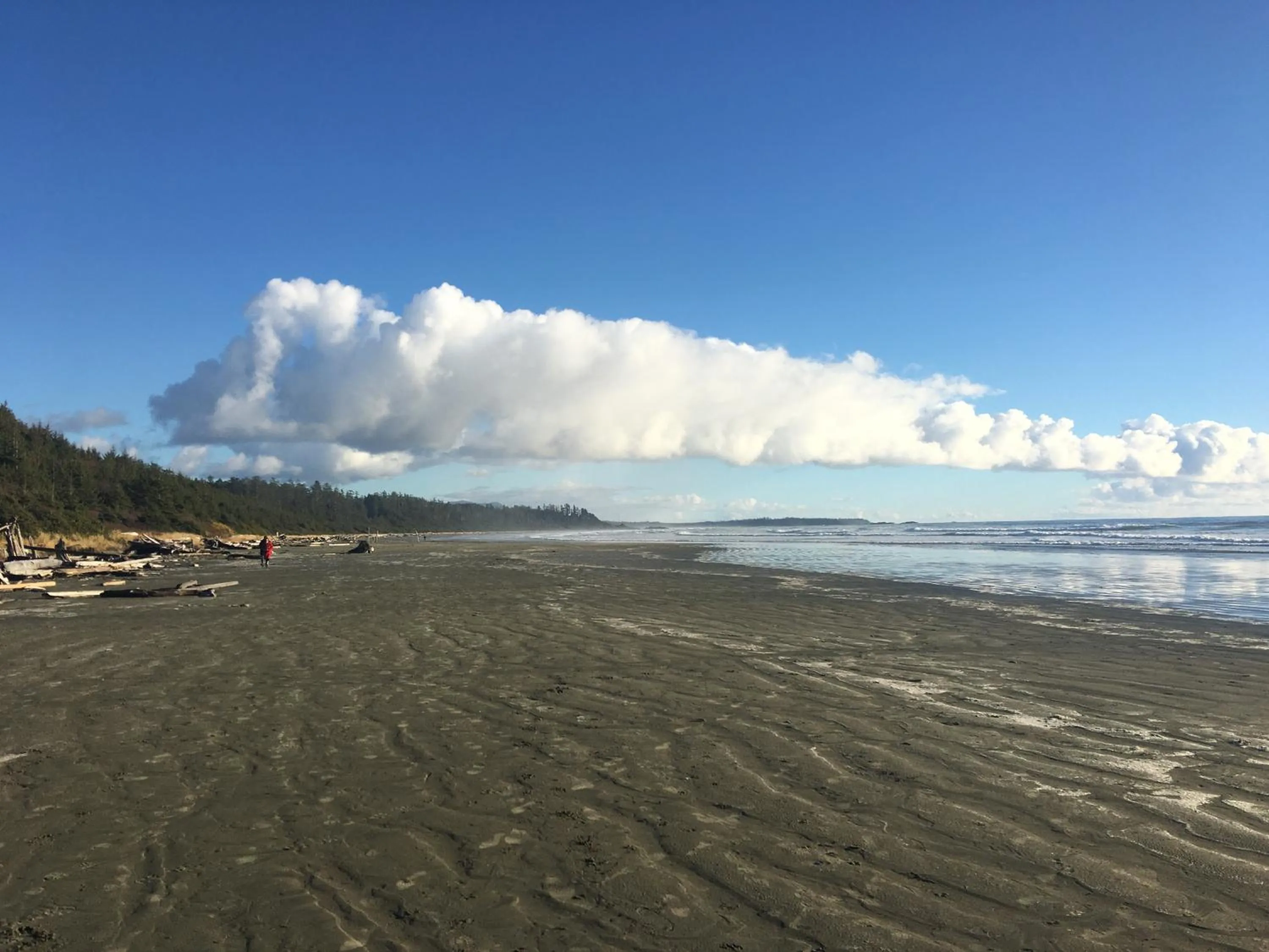 Nearby landmark in Cobble Wood and Bird Sanctuary Guest Houses