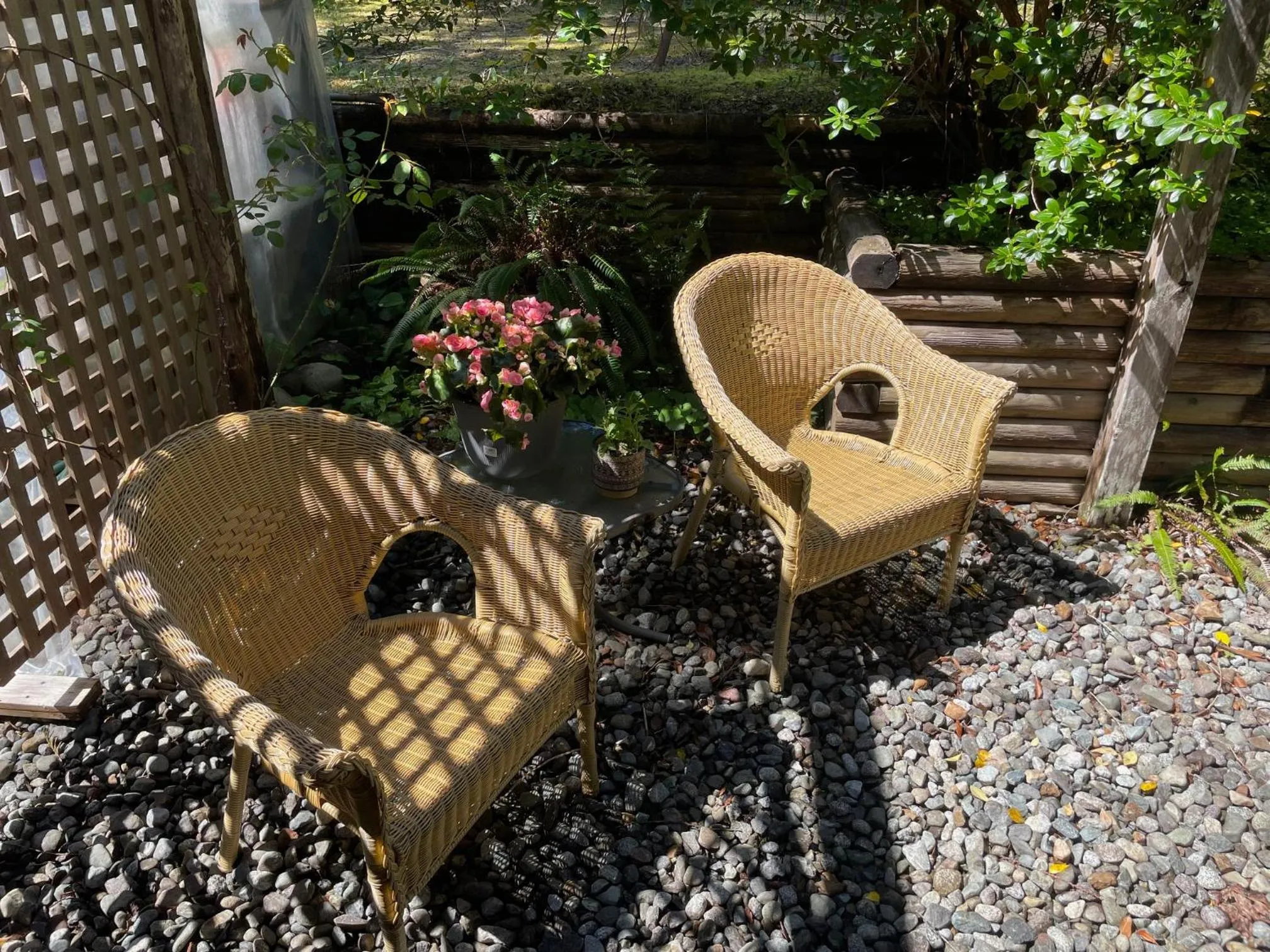 Garden in Cobble Wood and Bird Sanctuary Guest Houses