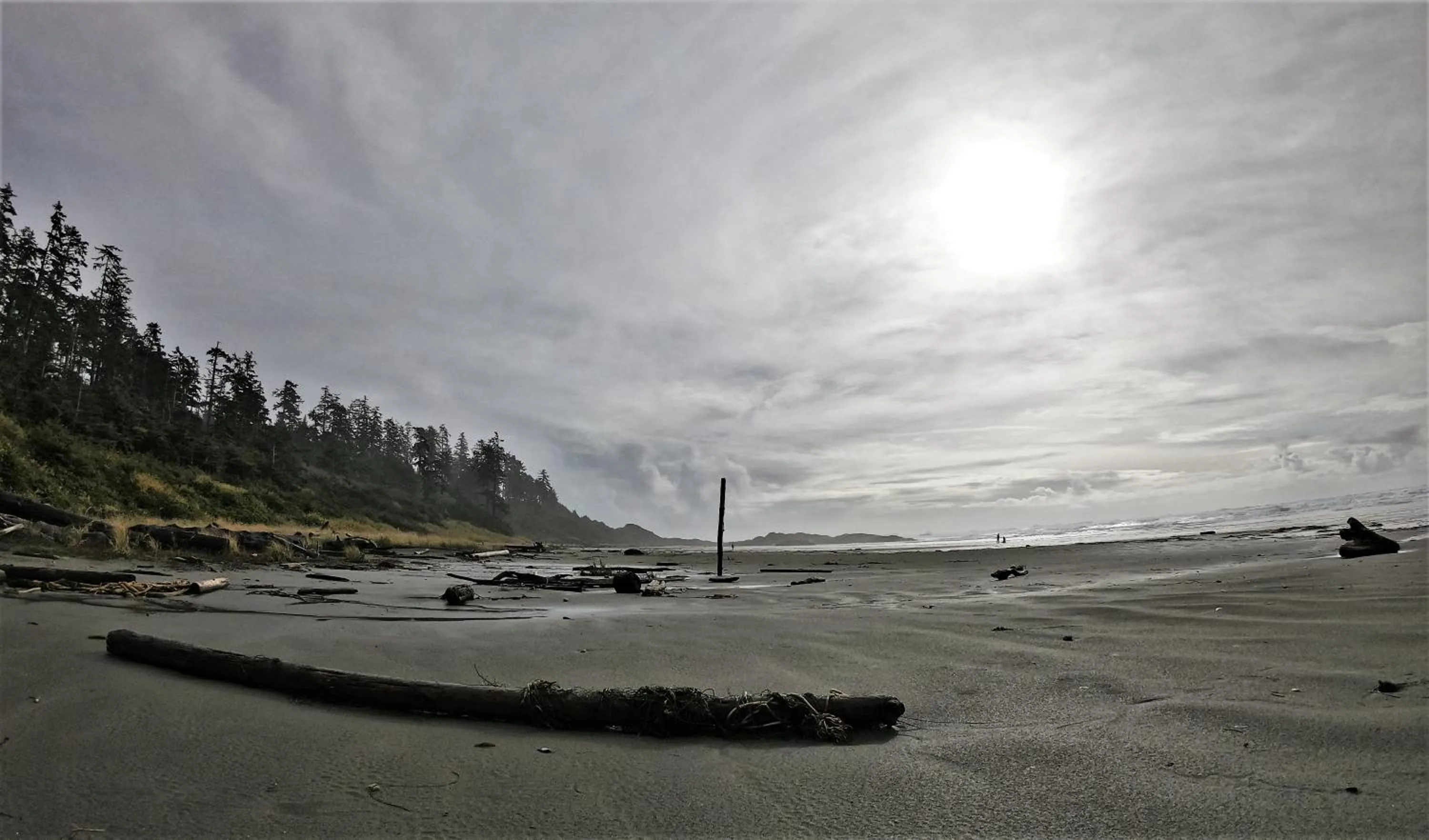 Beach in Cobble Wood and Bird Sanctuary Guest Houses
