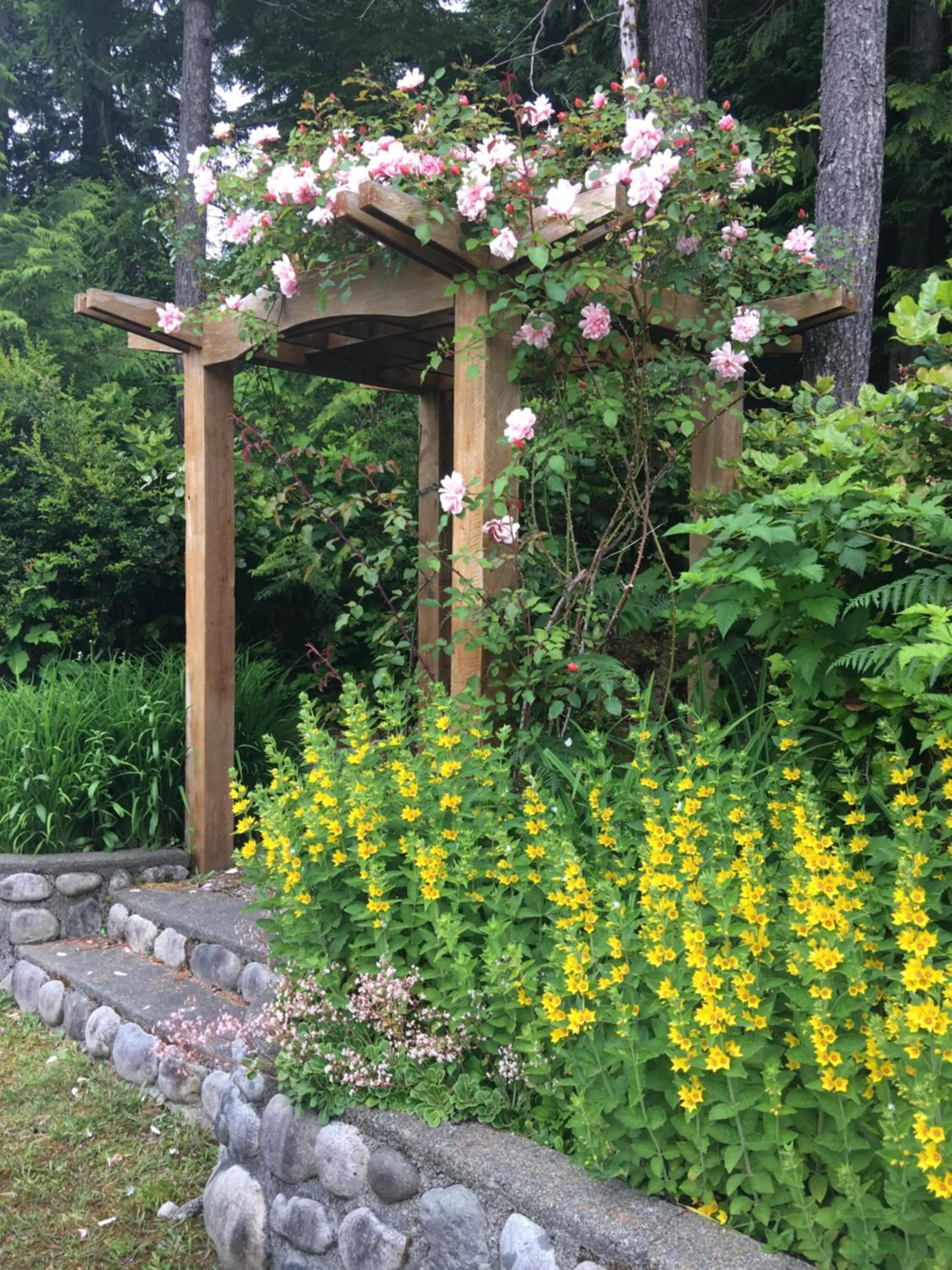 Parking in Cobble Wood and Bird Sanctuary Guest Houses