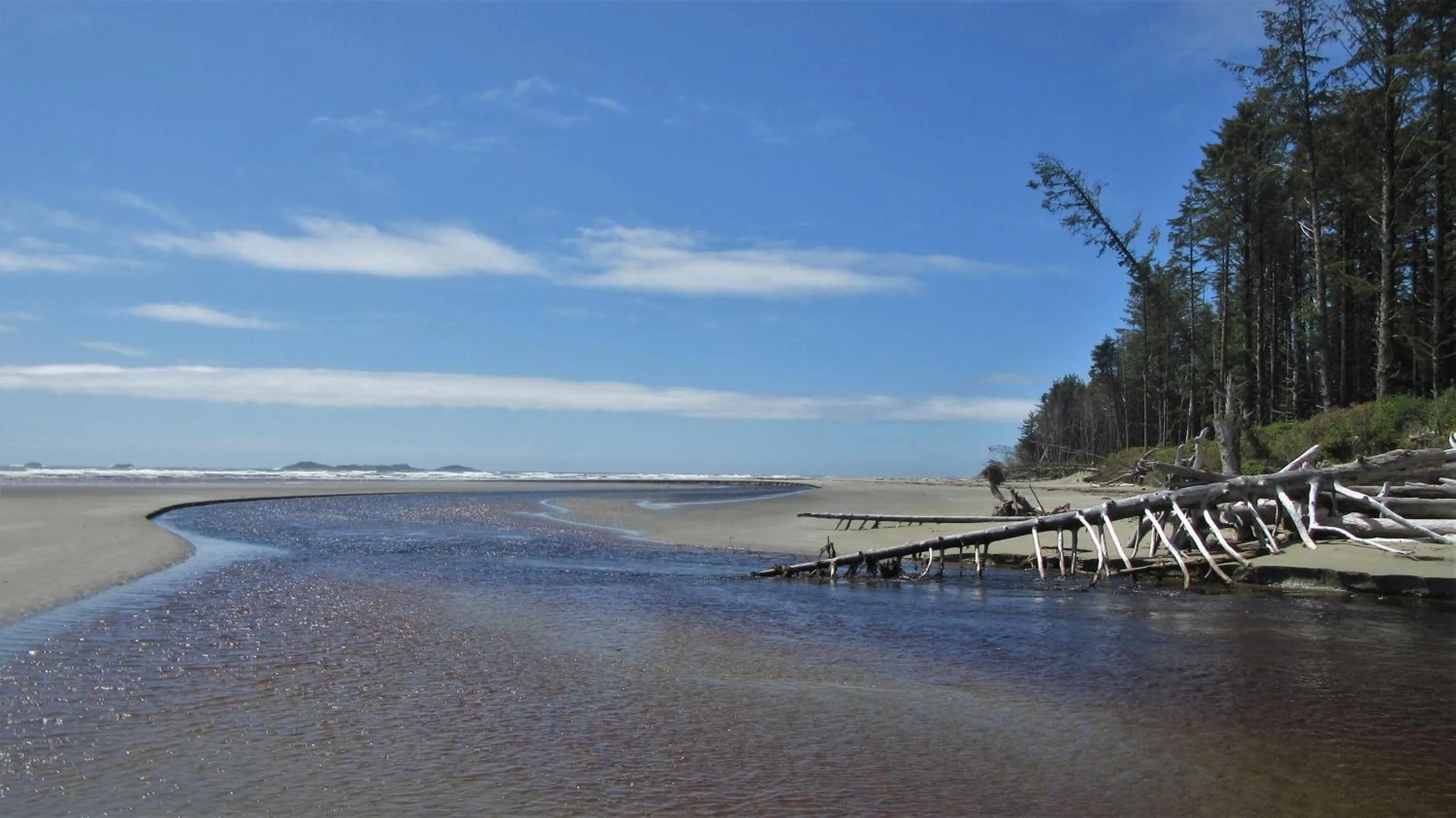 Beach in Cobble Wood and Bird Sanctuary Guest Houses