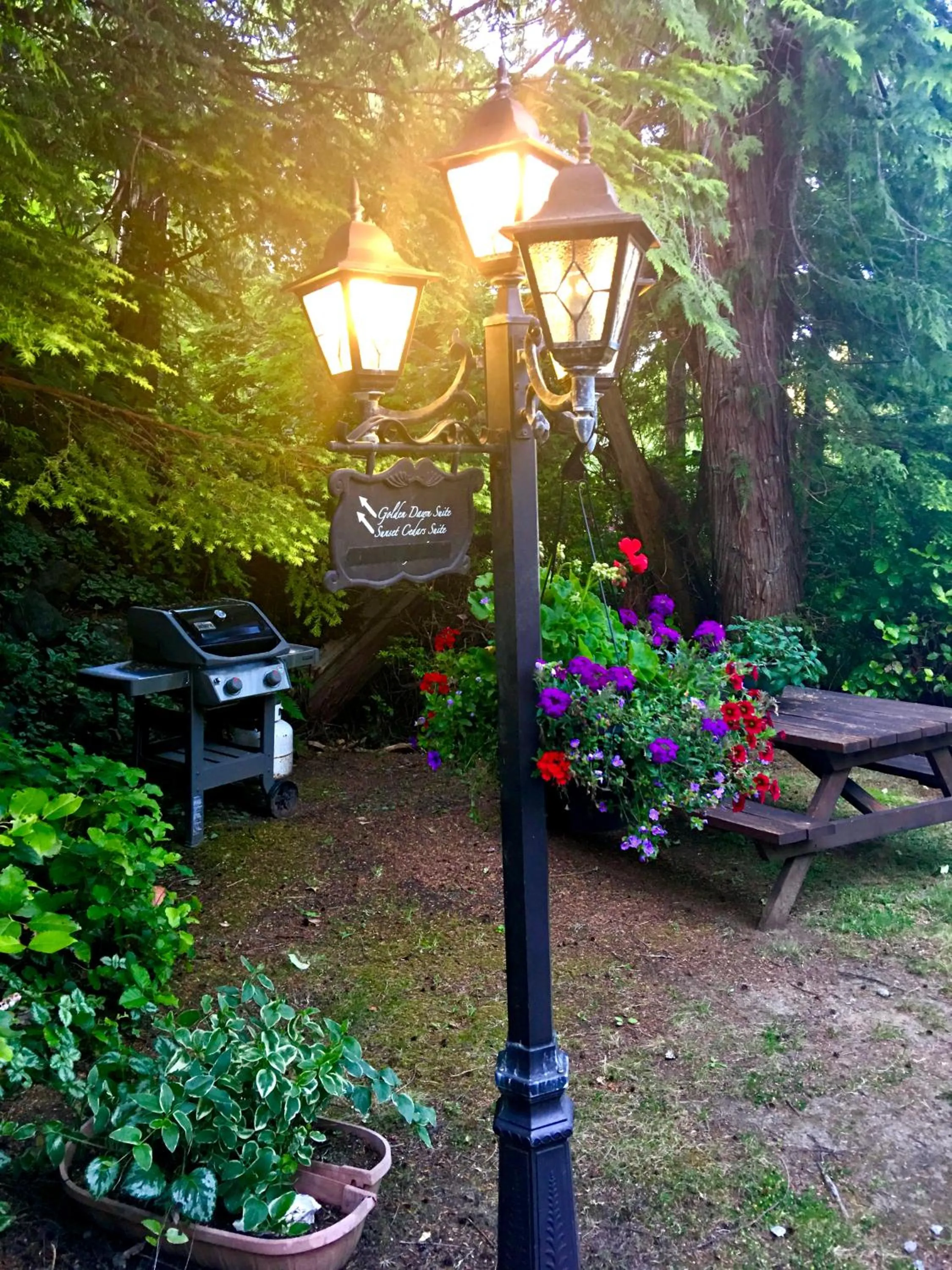 BBQ facilities in Cobble Wood and Bird Sanctuary Guest Houses