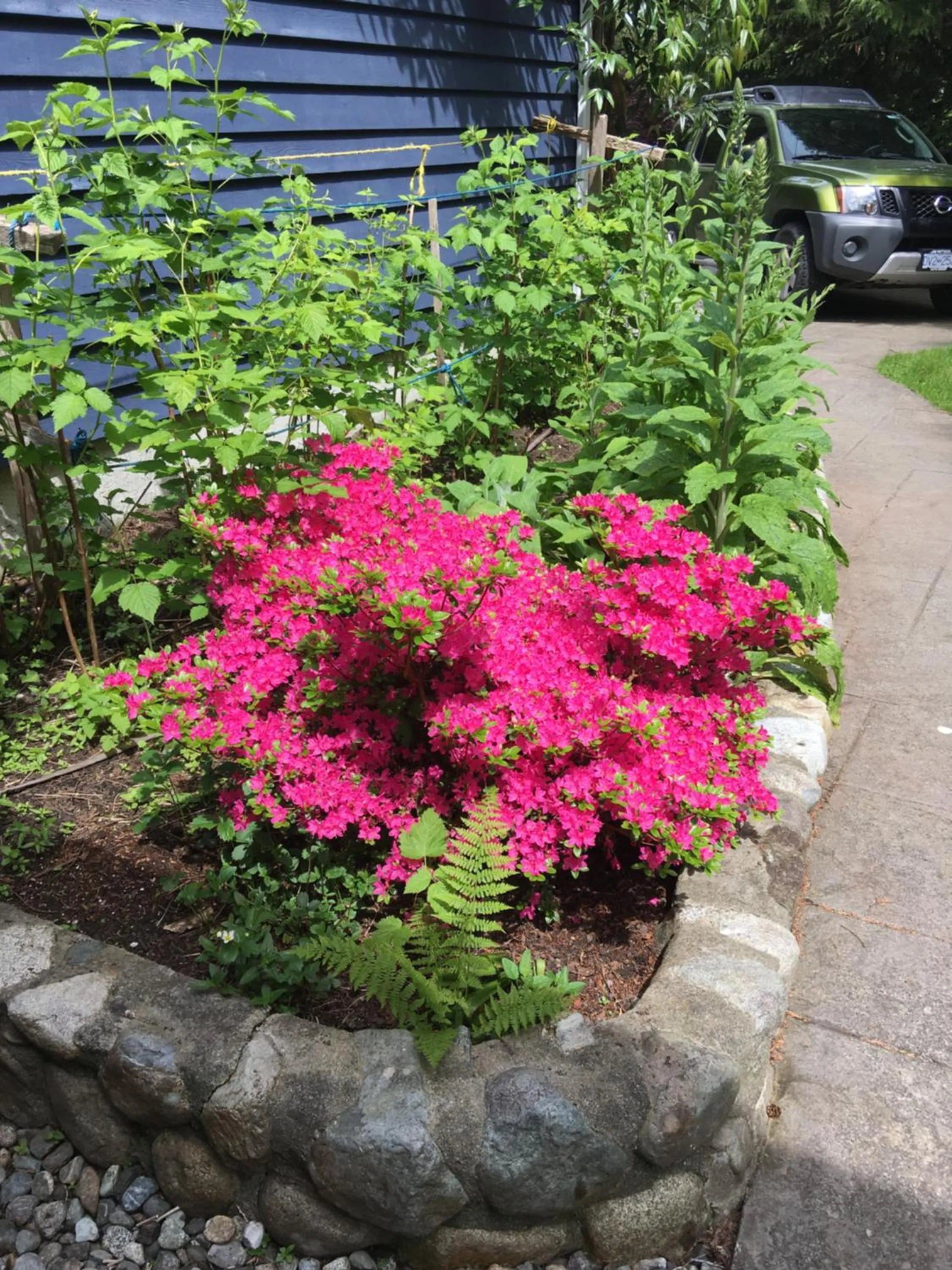 Spring in Cobble Wood and Bird Sanctuary Guest Houses