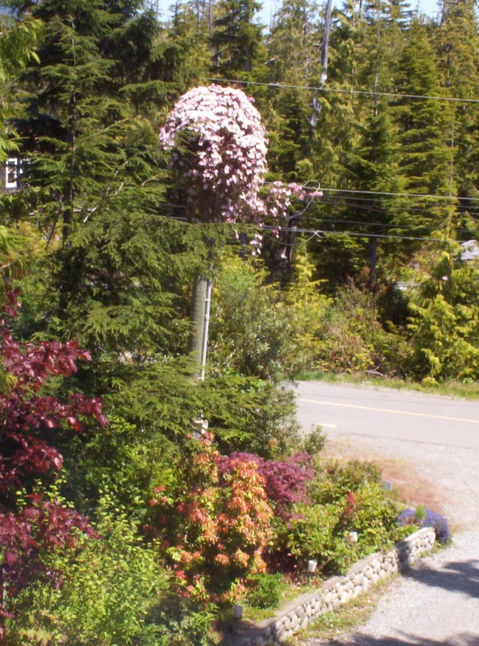 Area and facilities in Cobble Wood and Bird Sanctuary Guest Houses