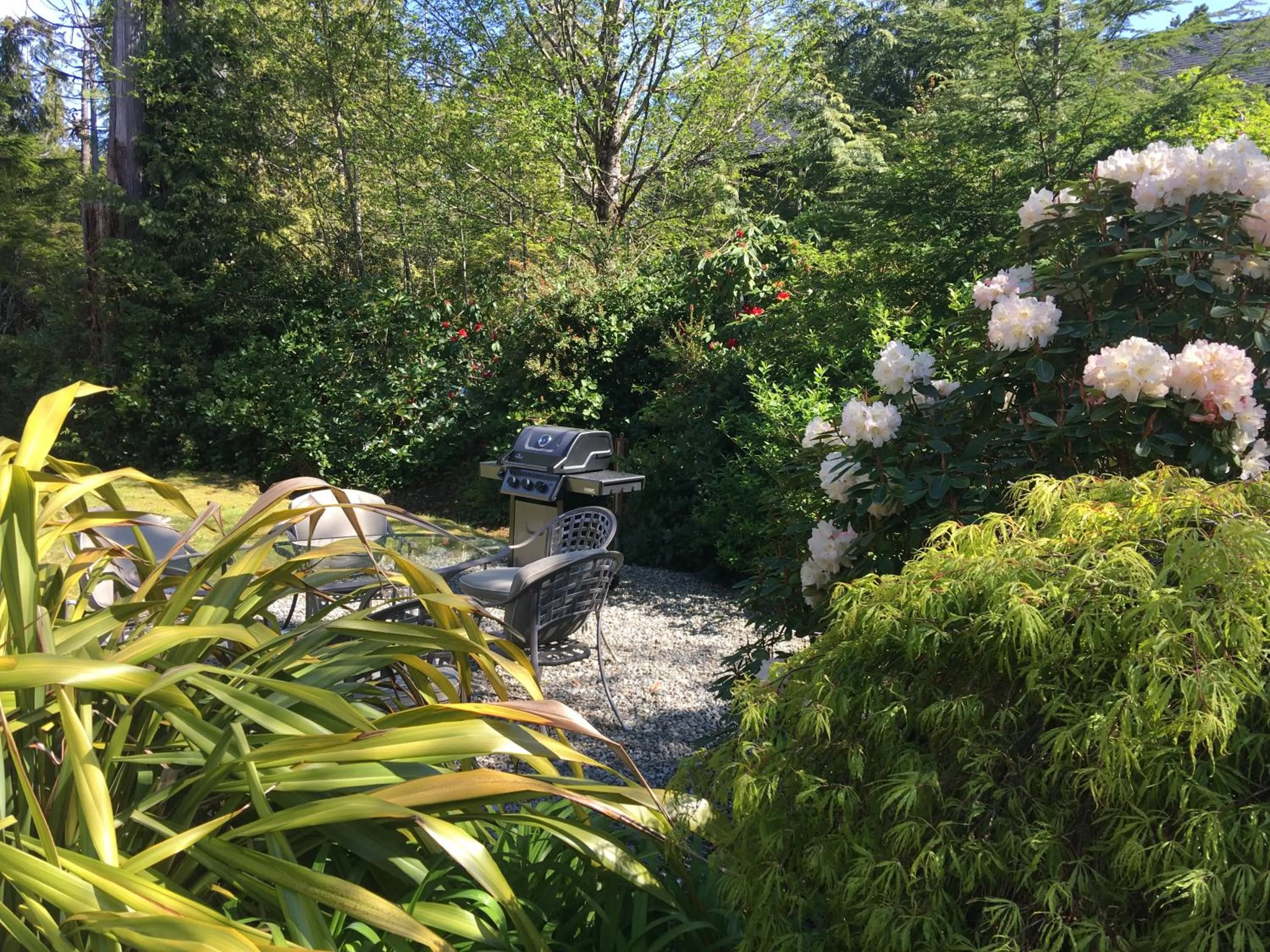 Natural landscape in Cobble Wood and Bird Sanctuary Guest Houses