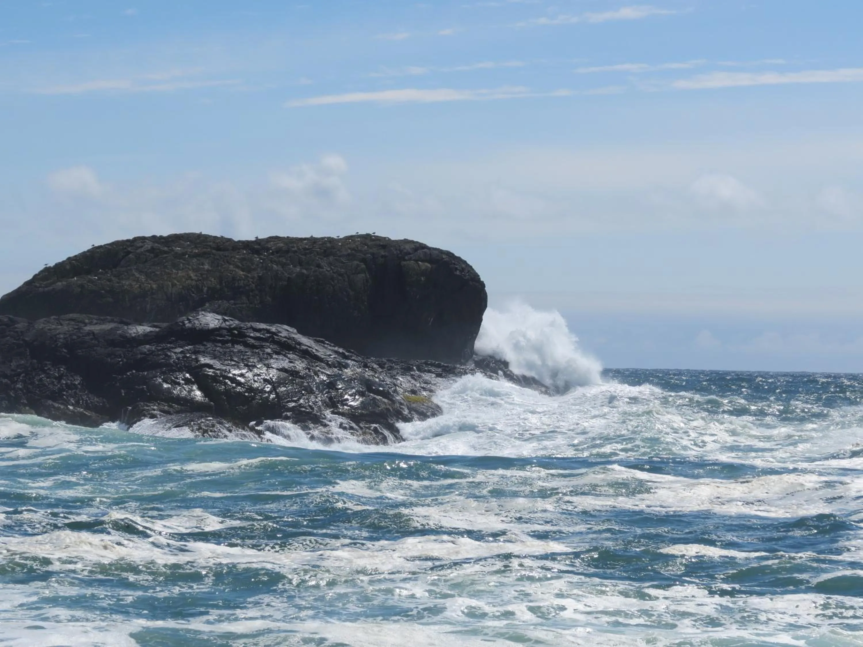 Activities in Cobble Wood and Bird Sanctuary Guest Houses