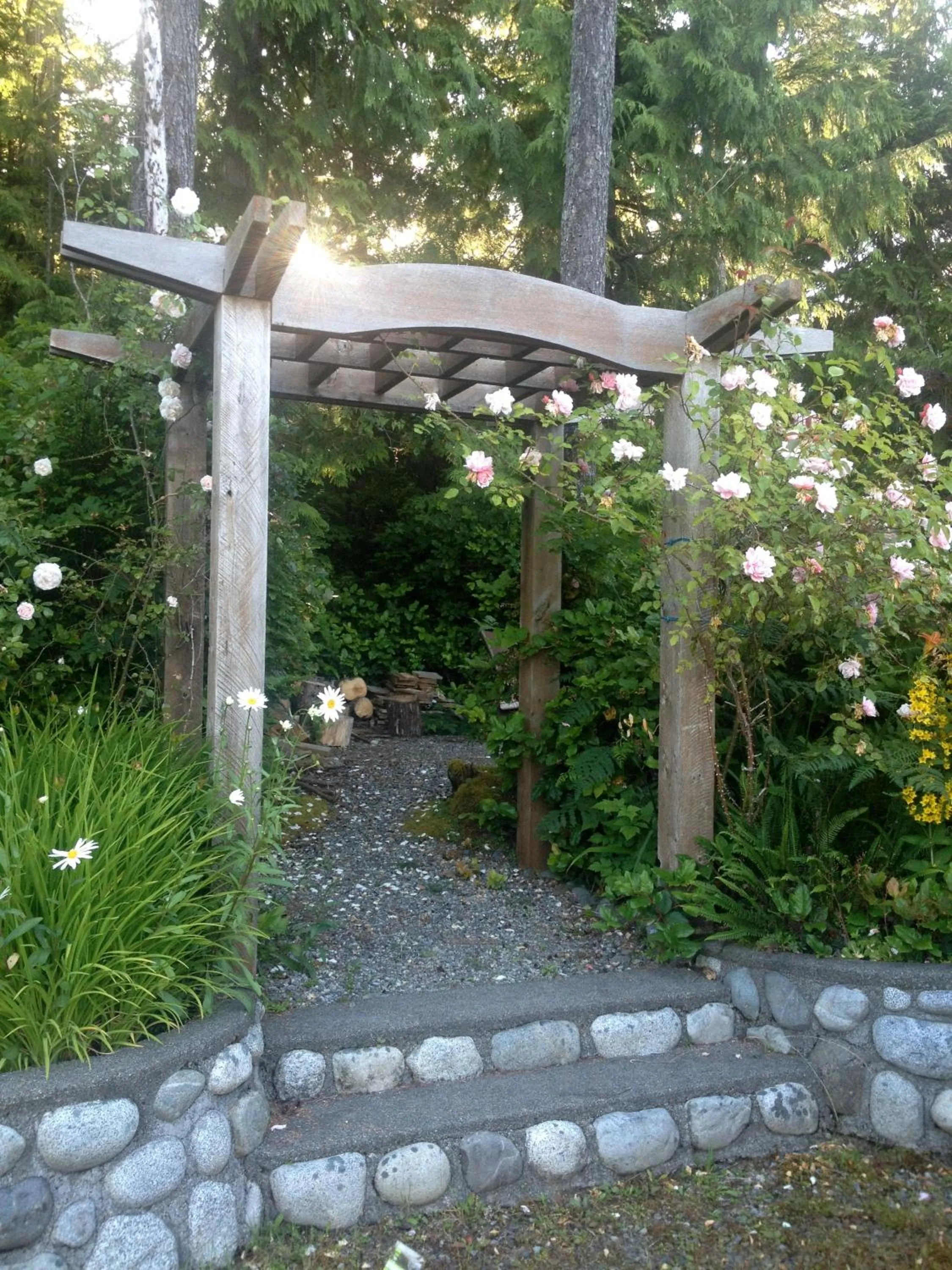 Garden in Cobble Wood and Bird Sanctuary Guest Houses
