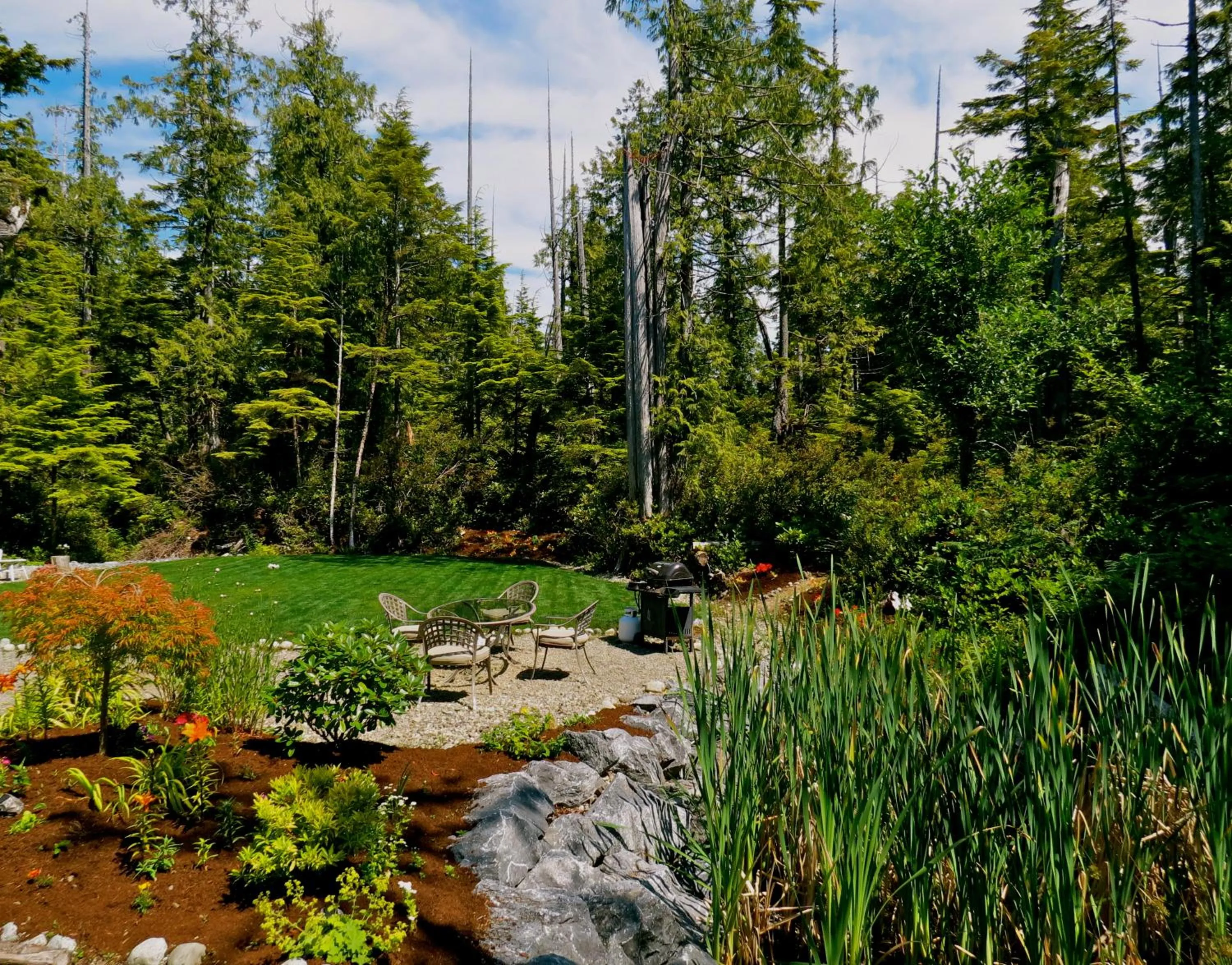 Garden in Cobble Wood and Bird Sanctuary Guest Houses