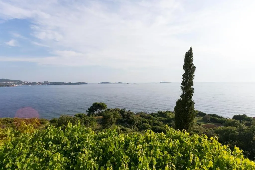 Natural landscape in Guest House Fontana